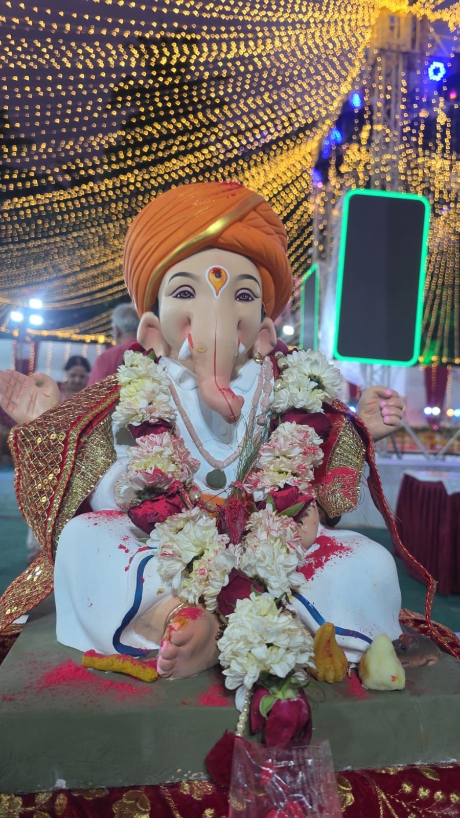 Eko frendli visarjan