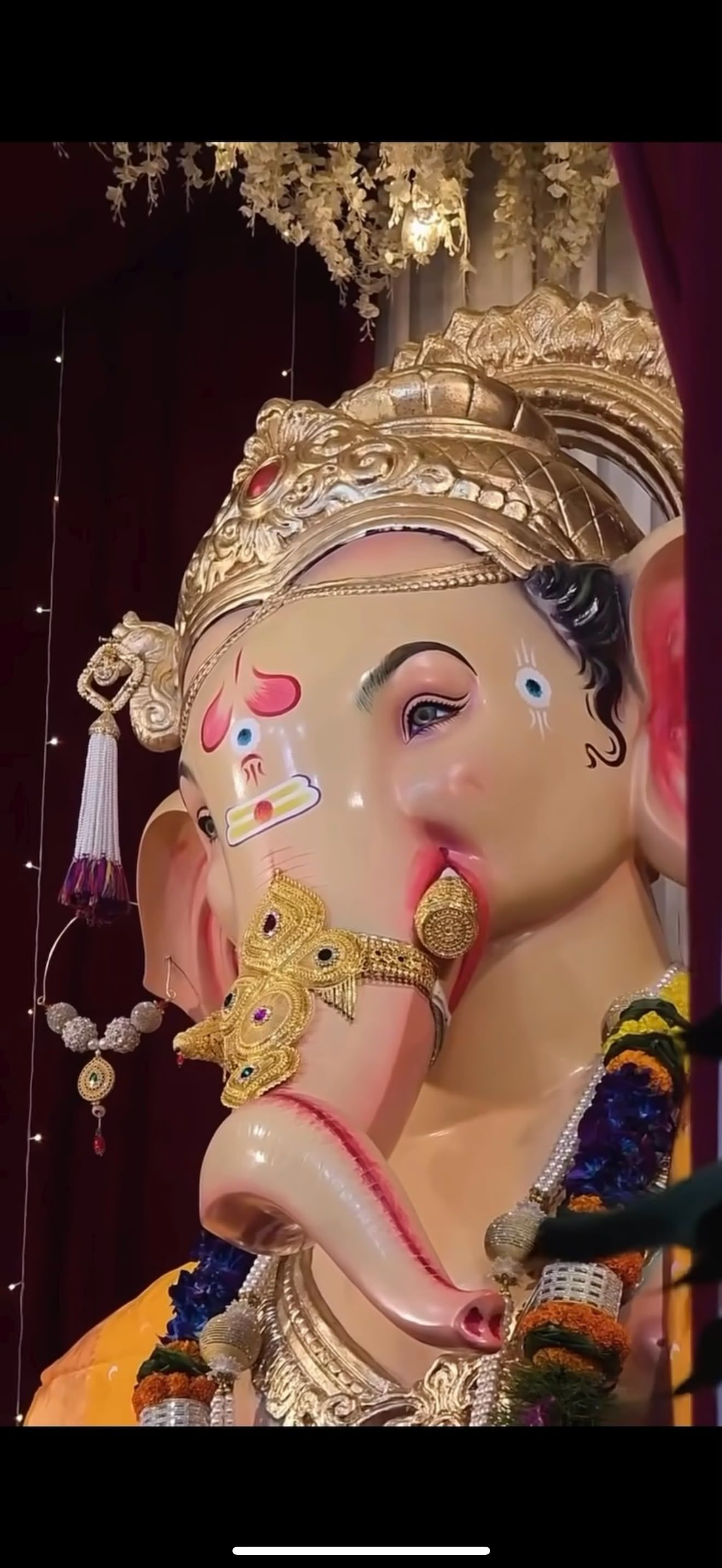 My experience with Ganpati