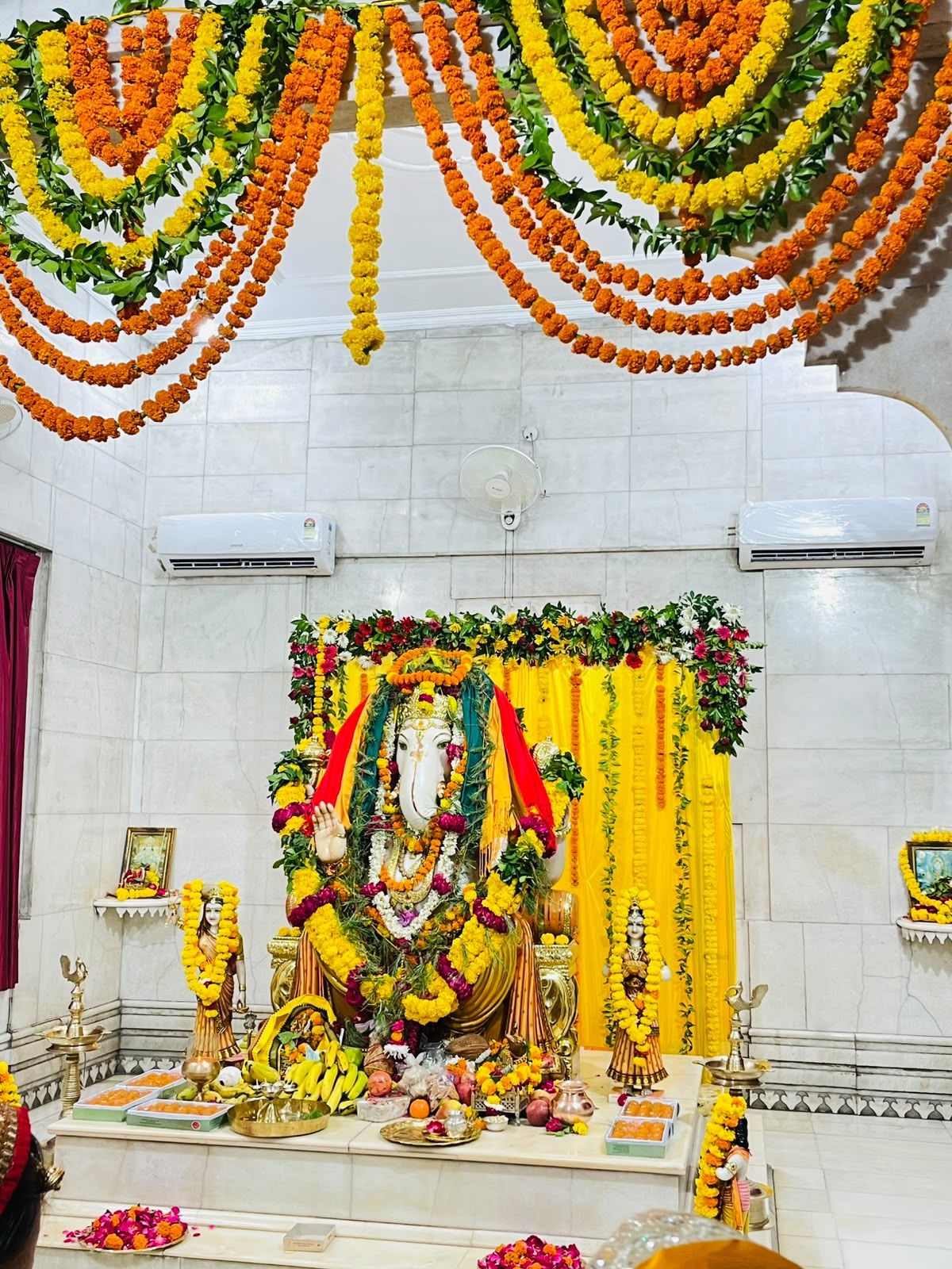 My experience with ganpati
