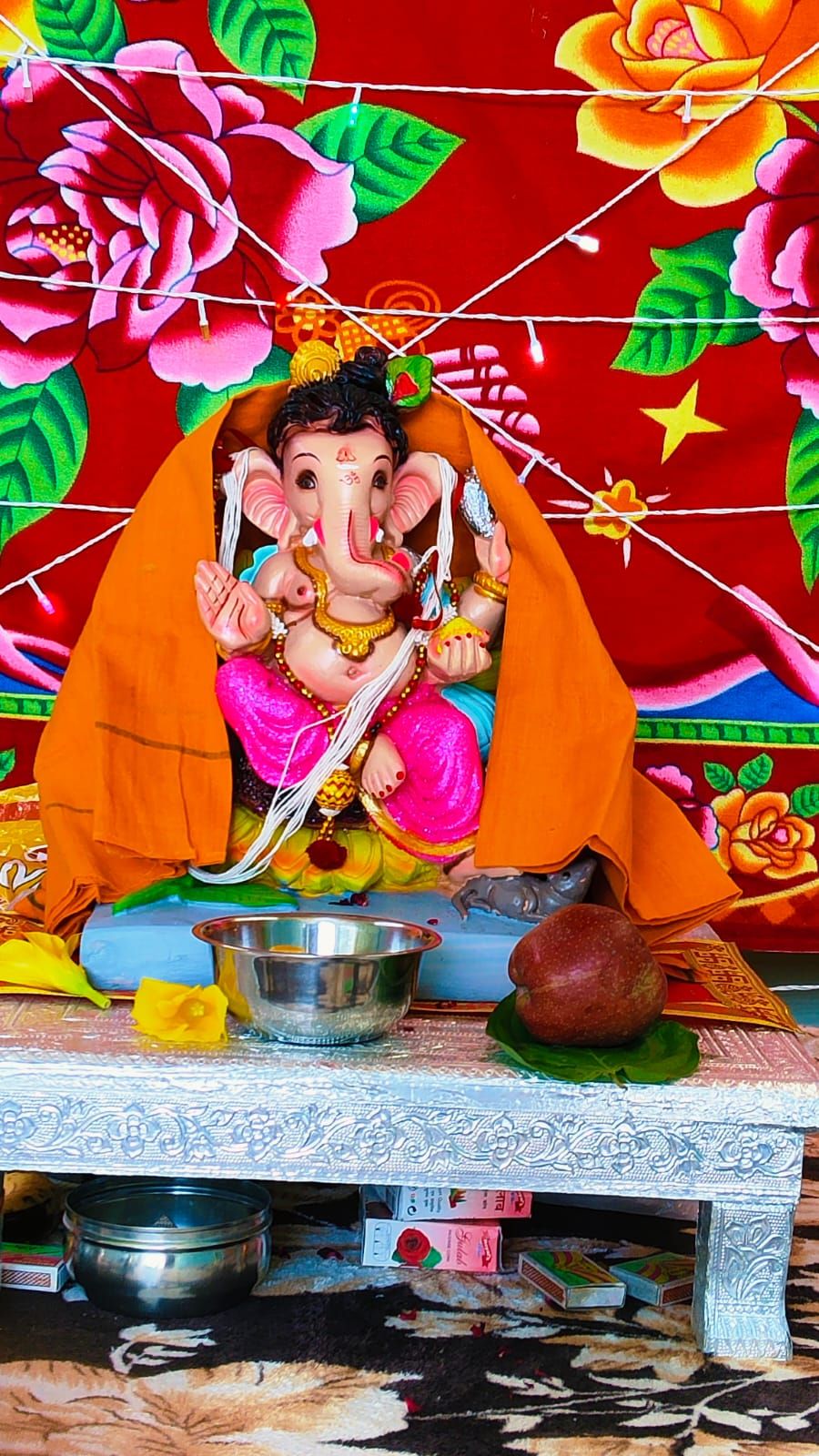 My experience with ganpati