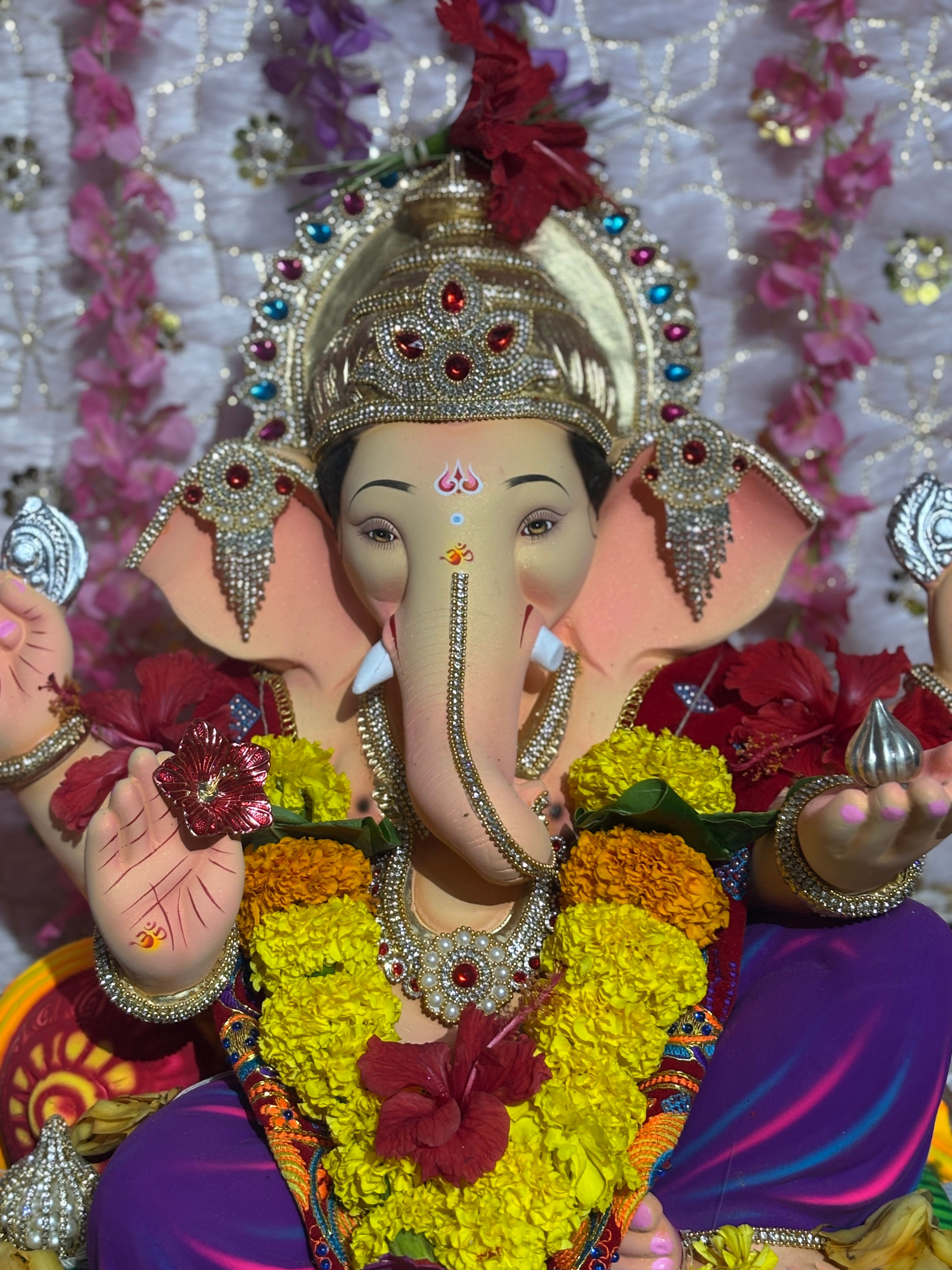 Kotkar cha raja