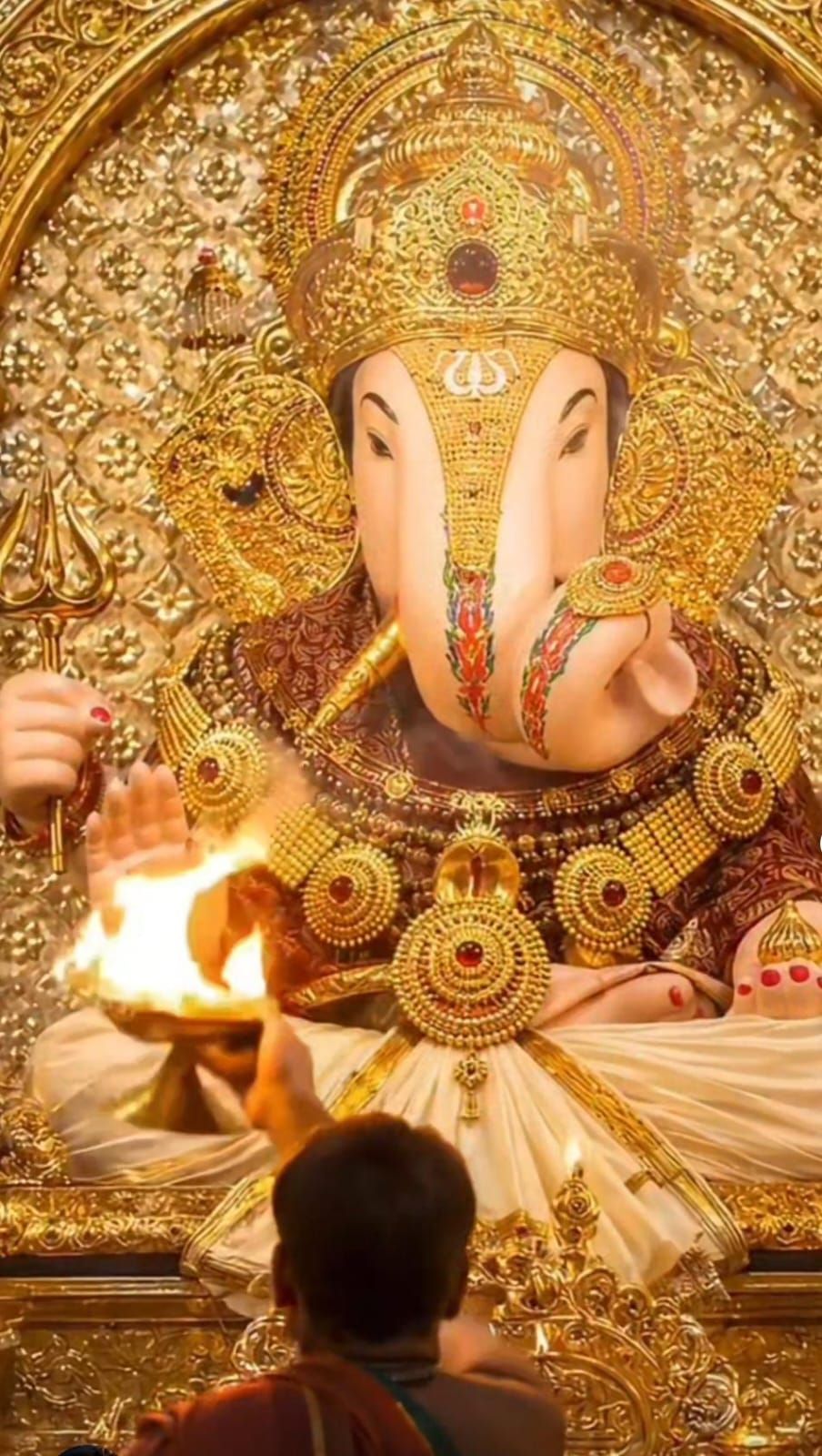 My experience with Bappa