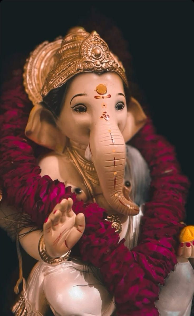 My experience with ganapati