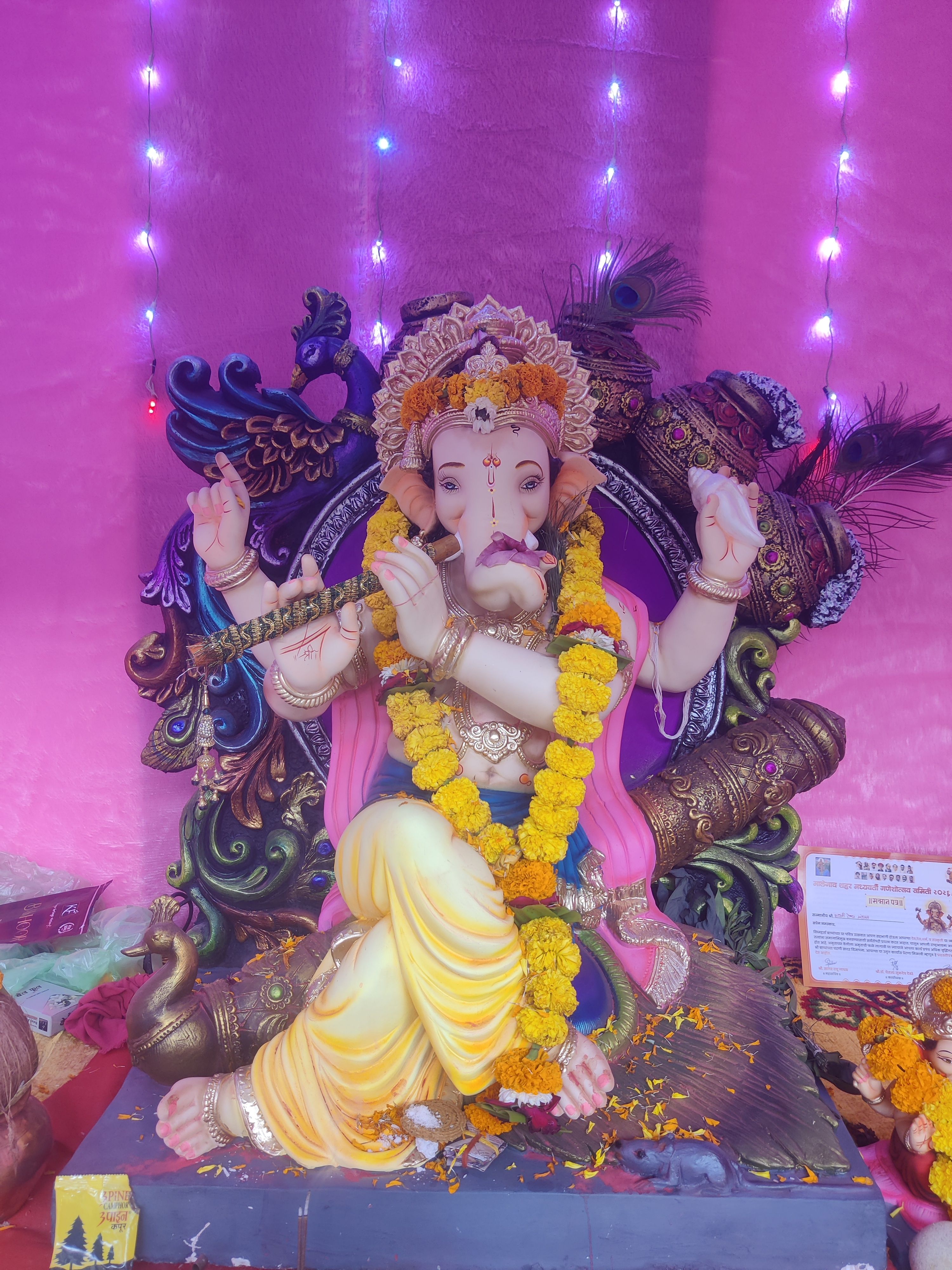 परंपरा जोपासली 