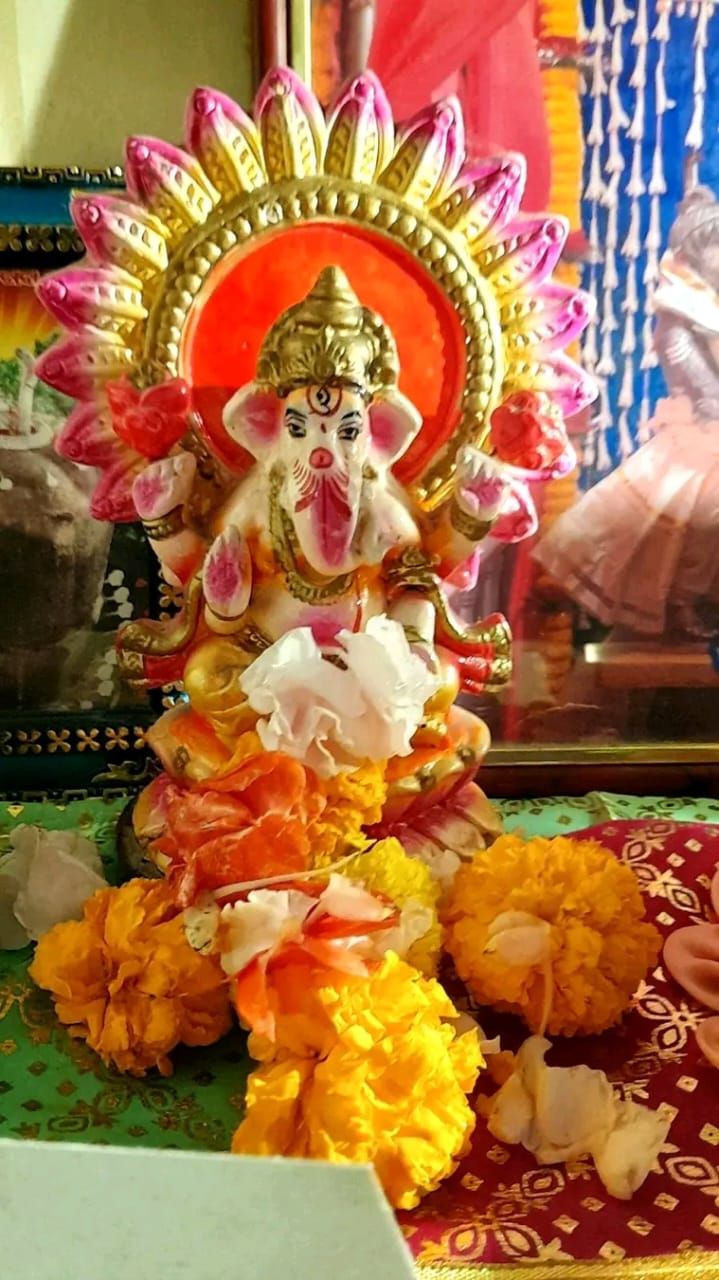 My experience with ganapati