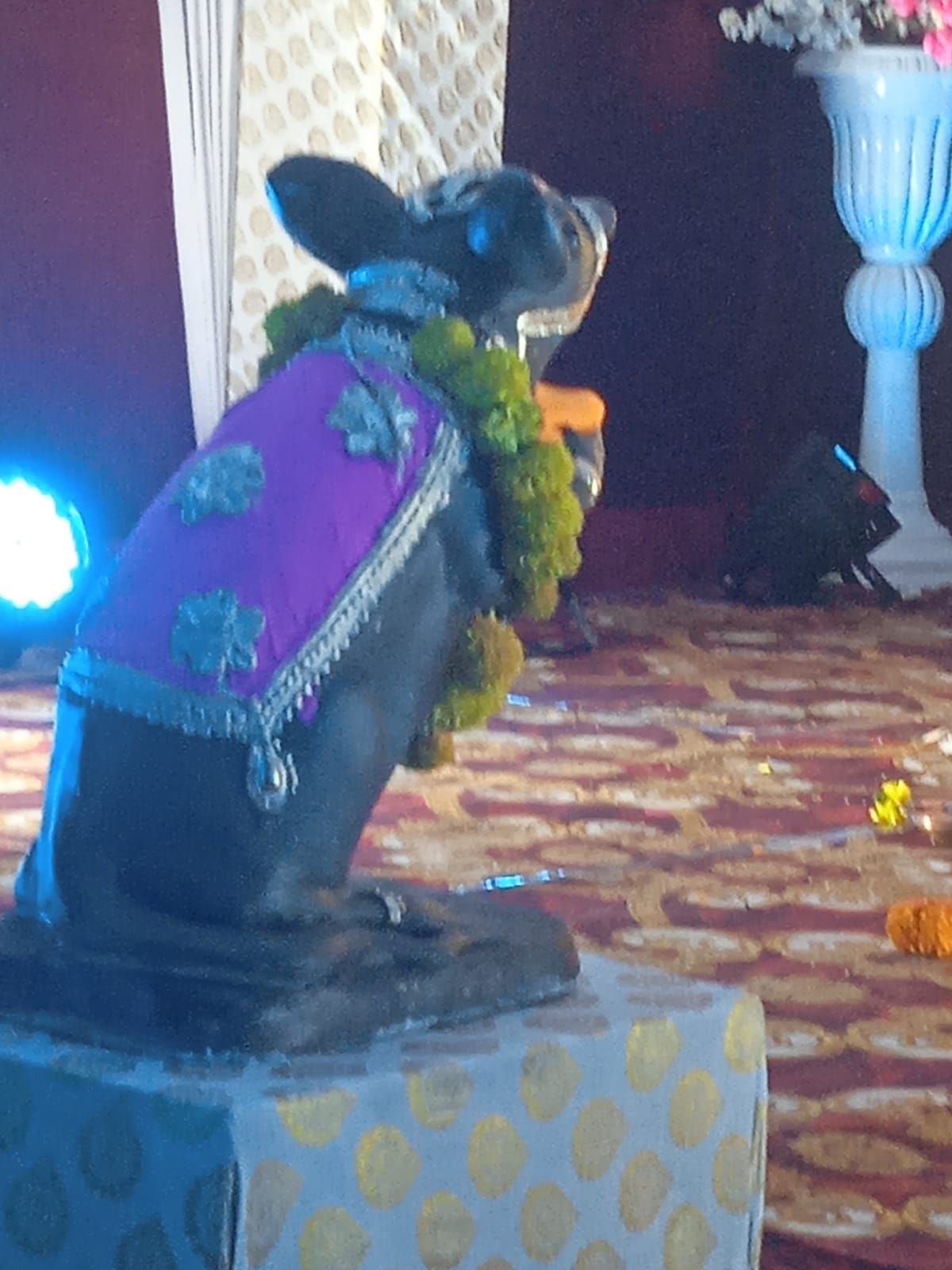 आमच्या वैजापूर मधिल गणपती