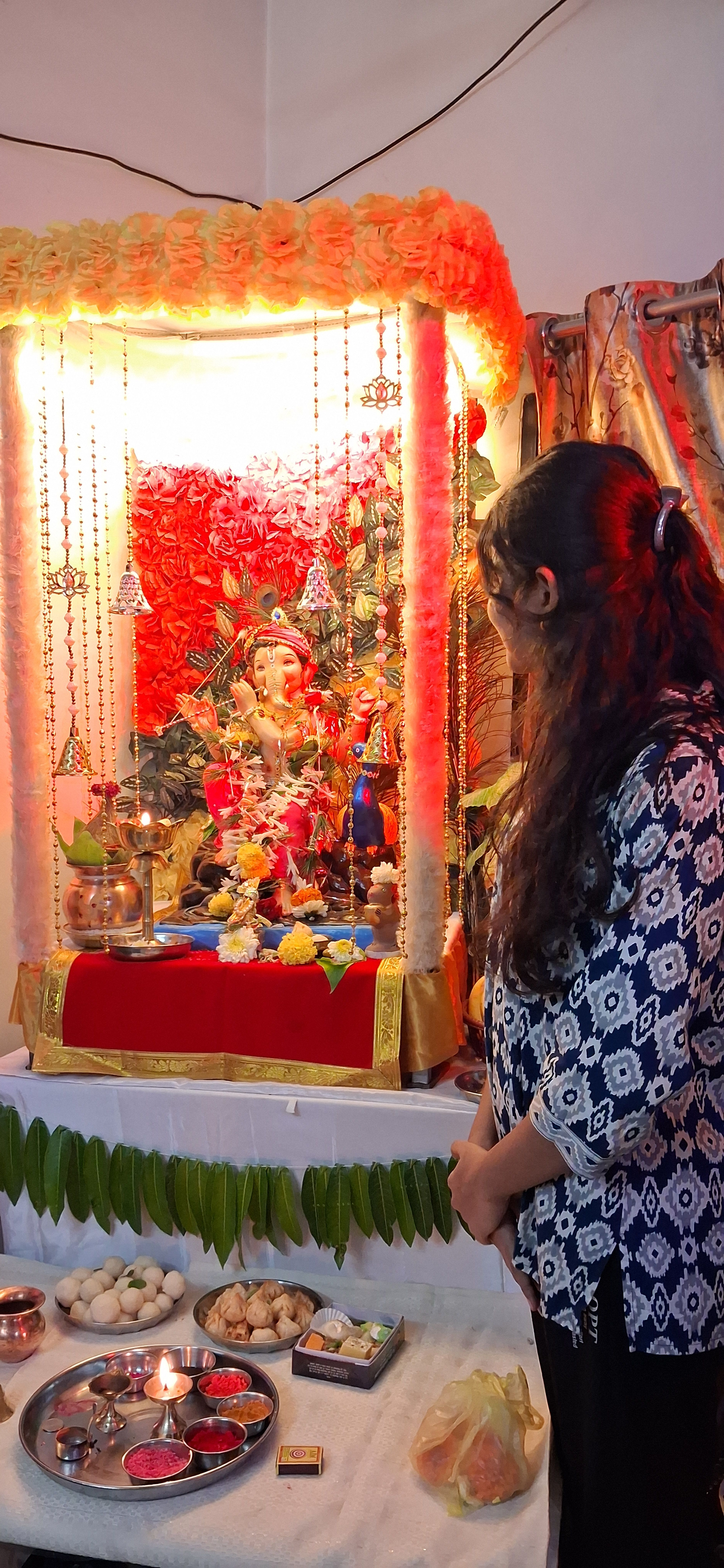 बाप्पामय 🌺🙏