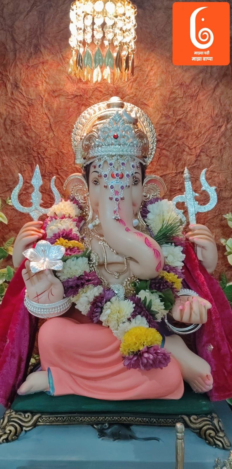 हा माझ्या घरातील गणपती बाप्पा आहे