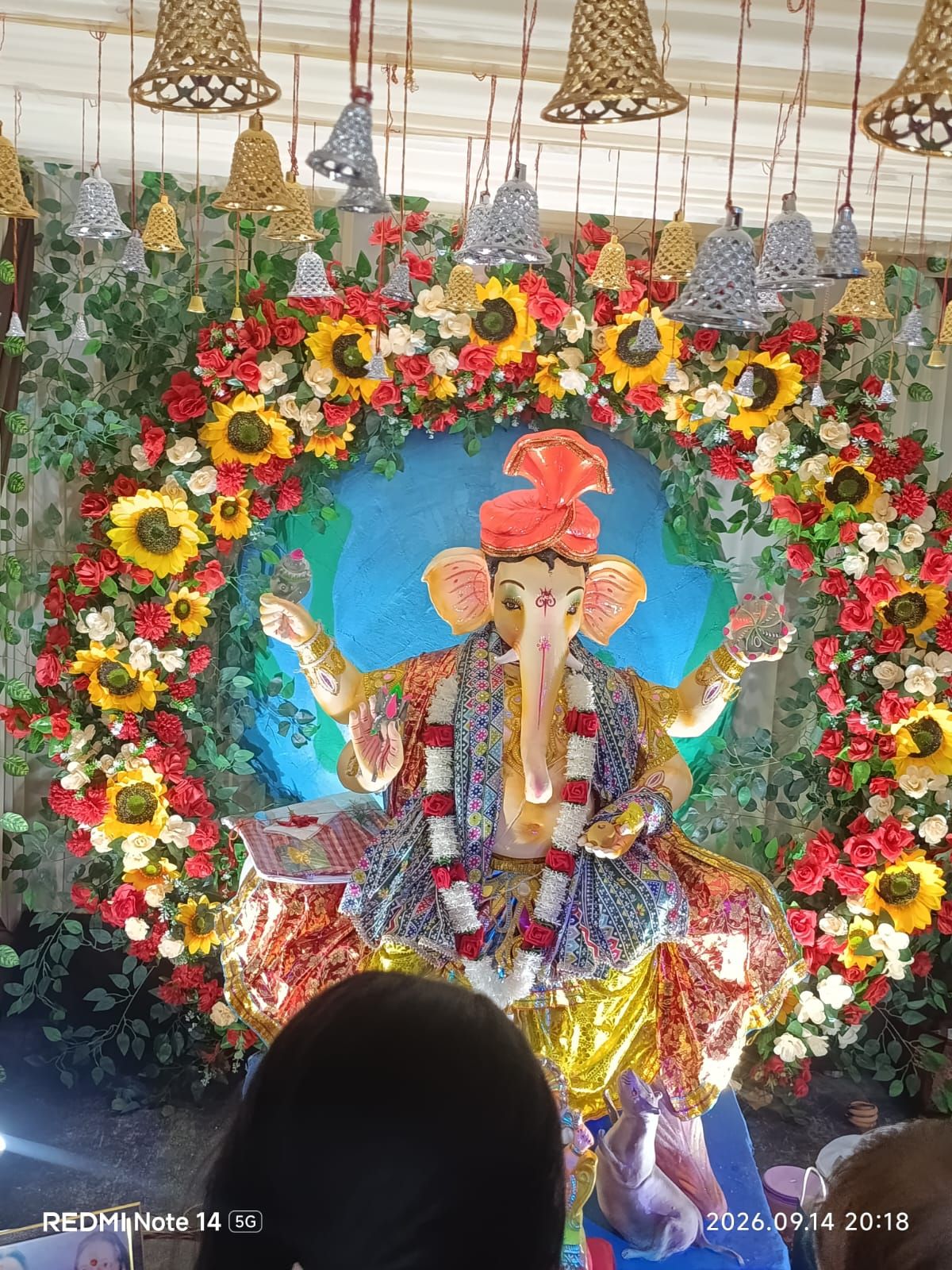 My experience with ganpati