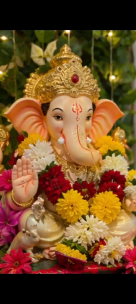 My experience with ganpati