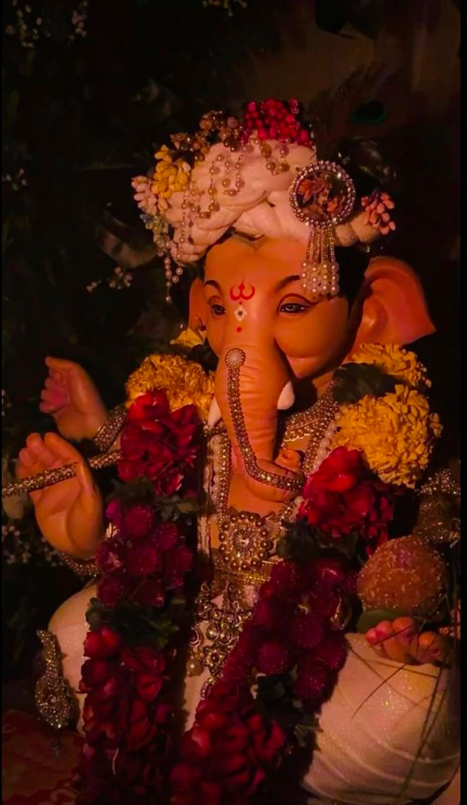 My experience with Ganpati