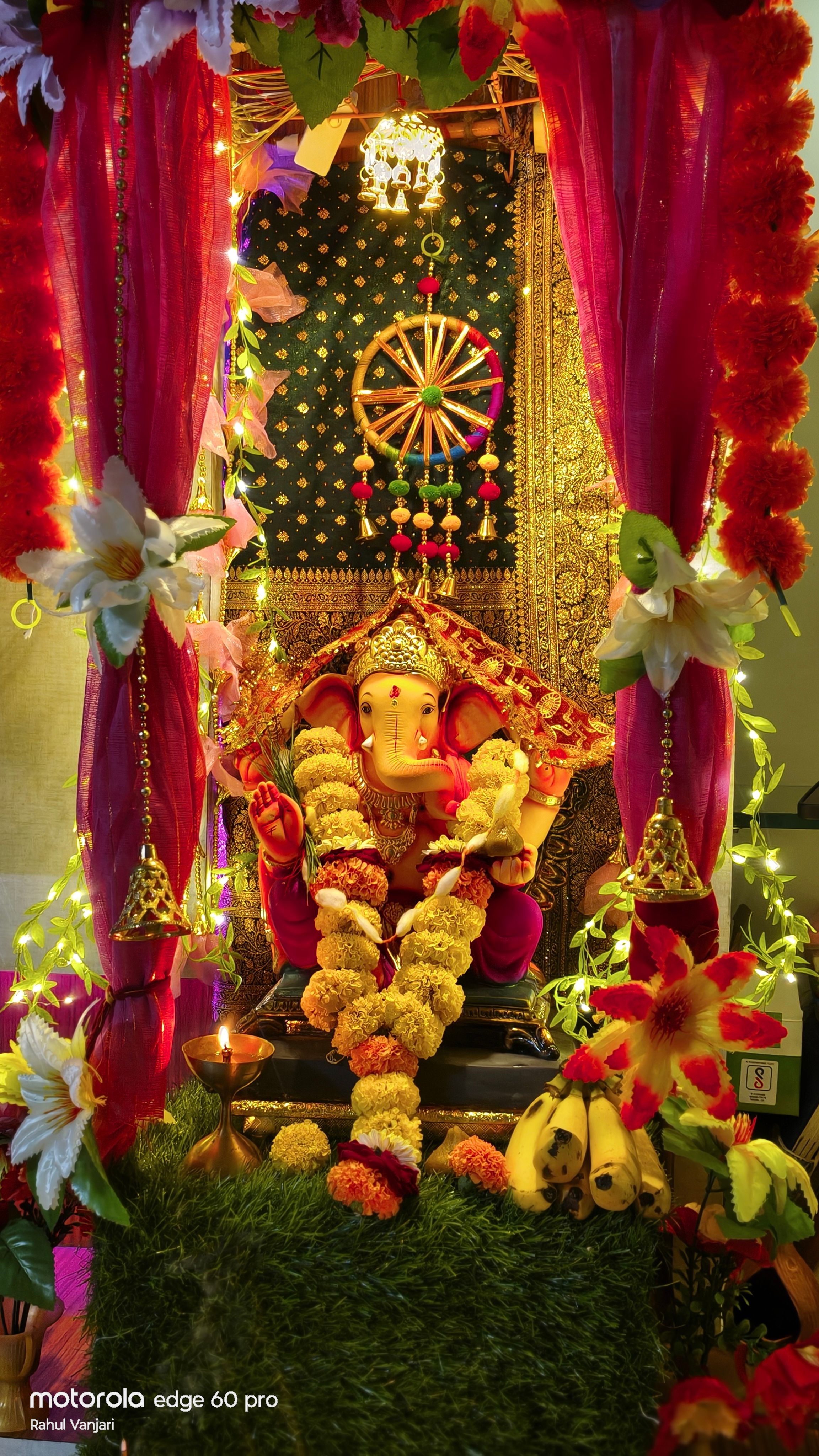 My home bappa