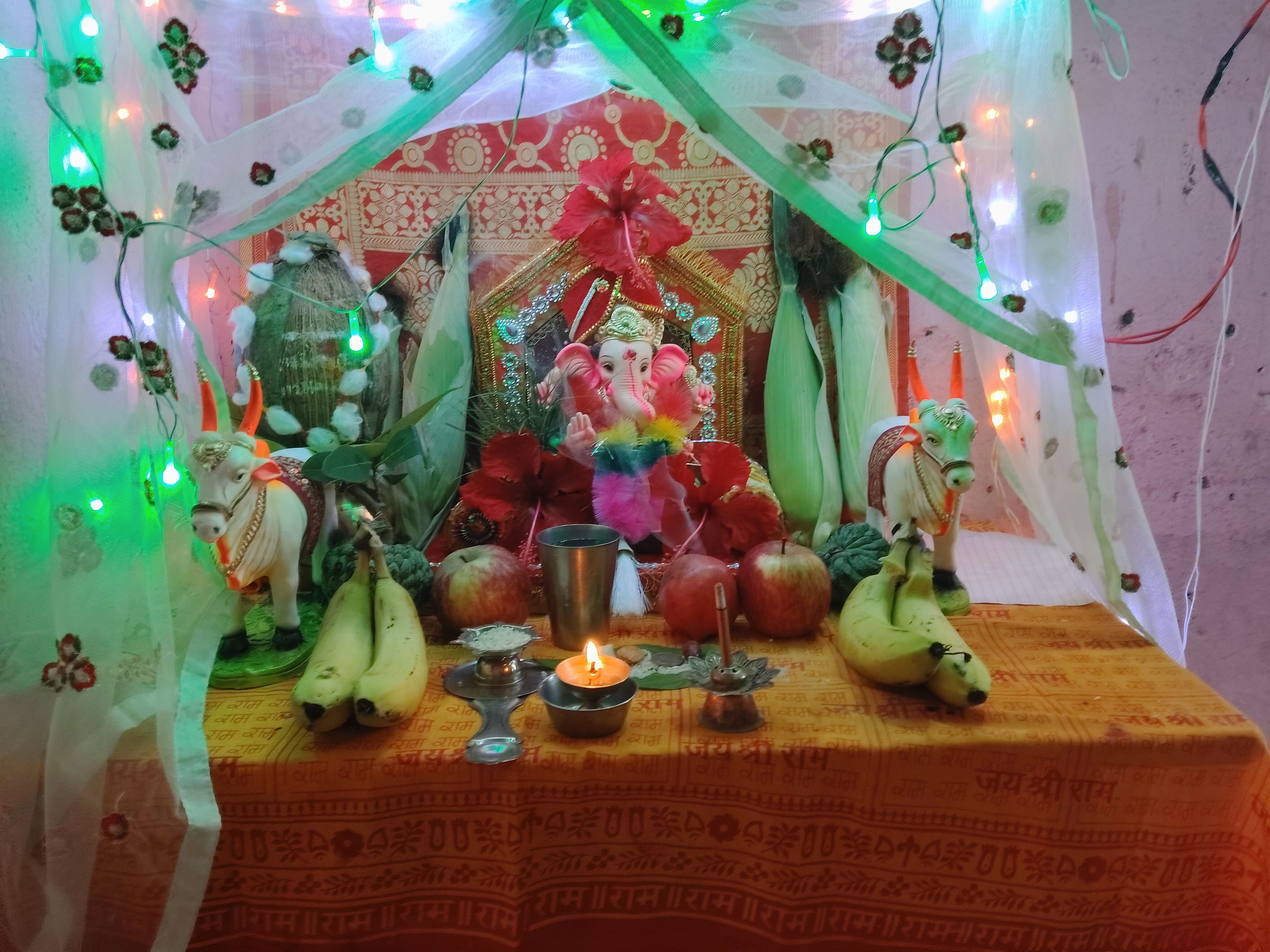 Pushpa sharad patil 