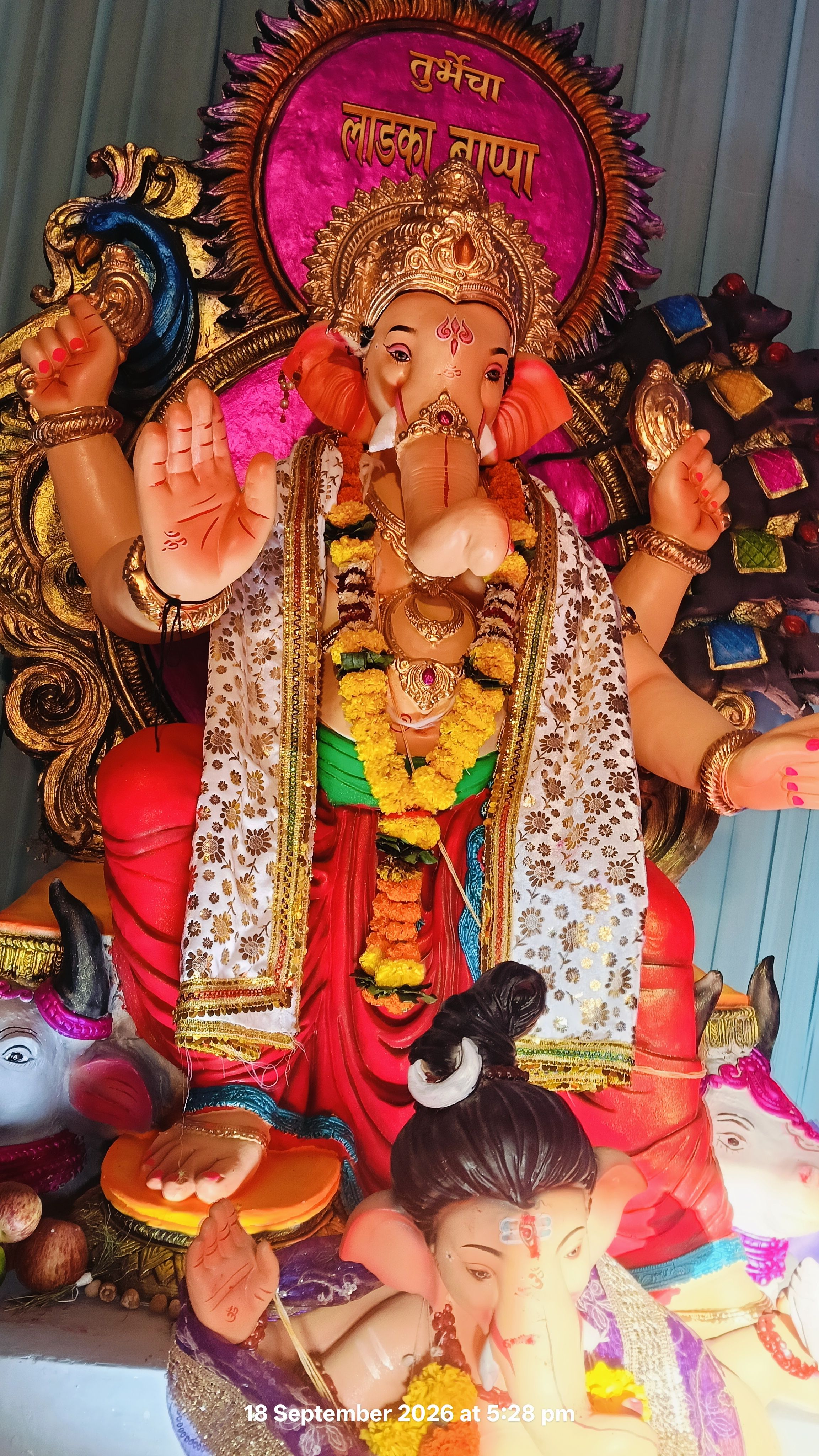 Veer lahuji samajik vikas mandal, photo