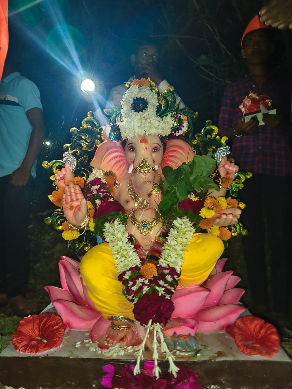 आमच्या वस्तीतील हे 11 वे वर्षे आहे