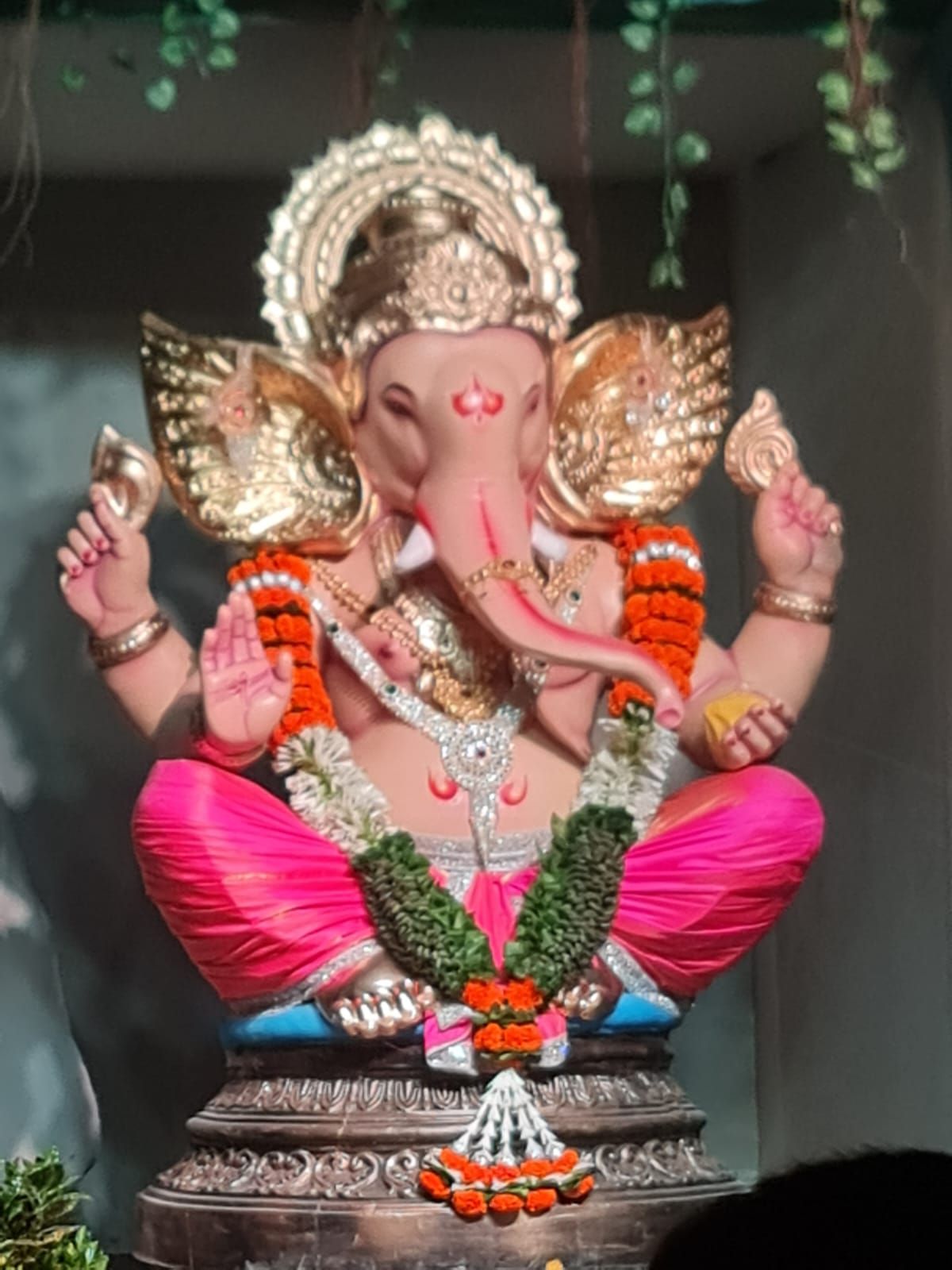 Sai star cha raja, Thakur village kandivali East