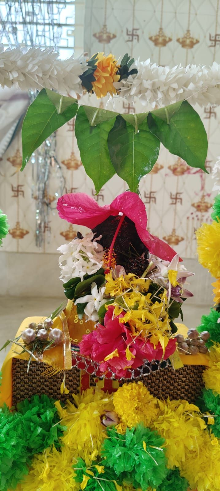 Home with Bappa ❤️🙏