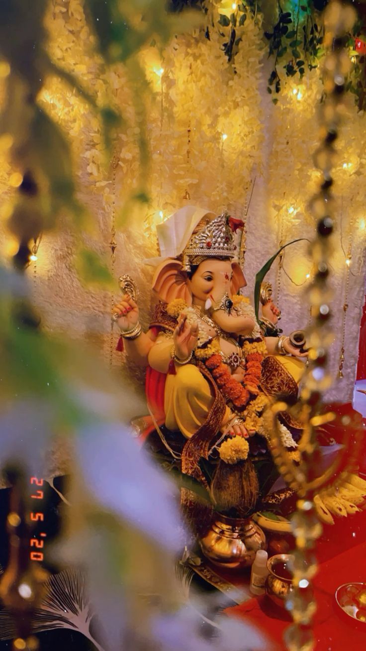 My experience with ganapati