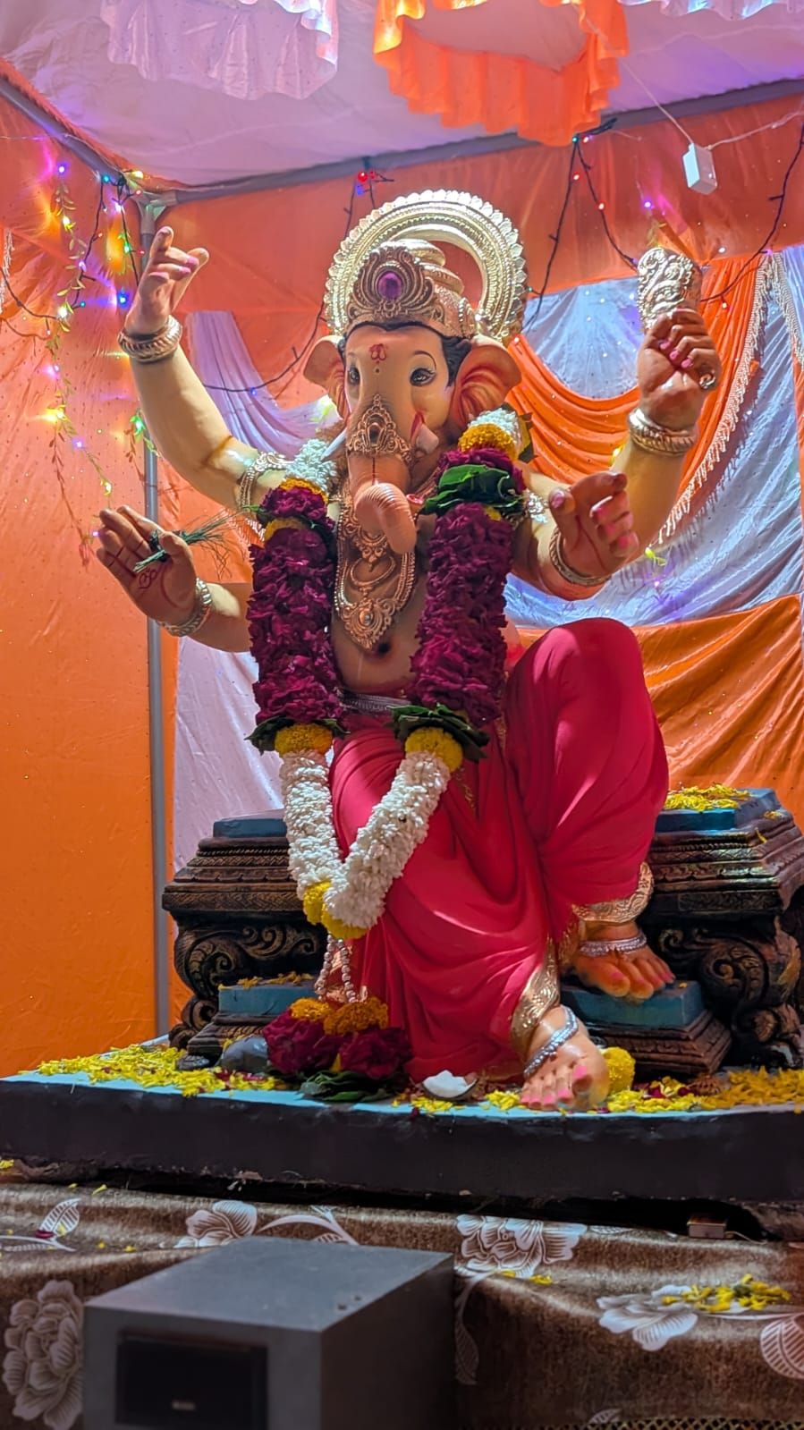 23 वर्ष