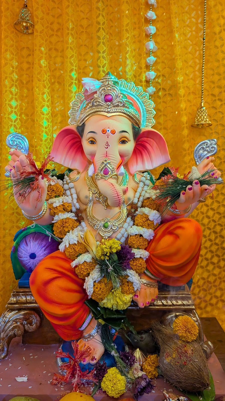 My experience with ganpati