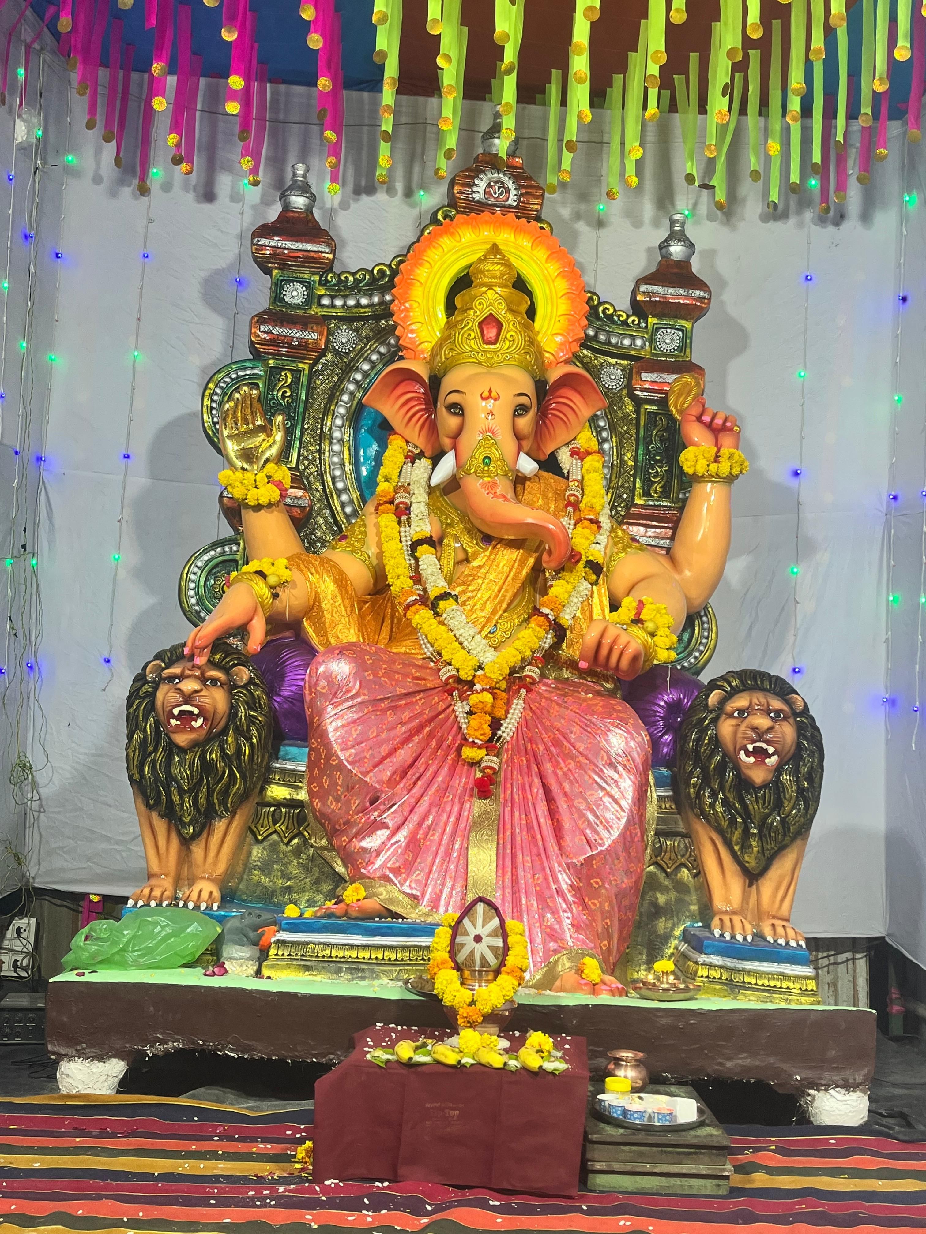 मातोश्री गणेशोत्सव तरूण  मंडळ 