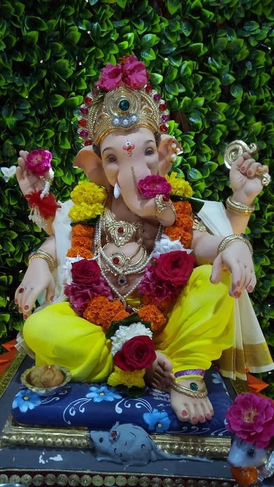 My experience with ganpati