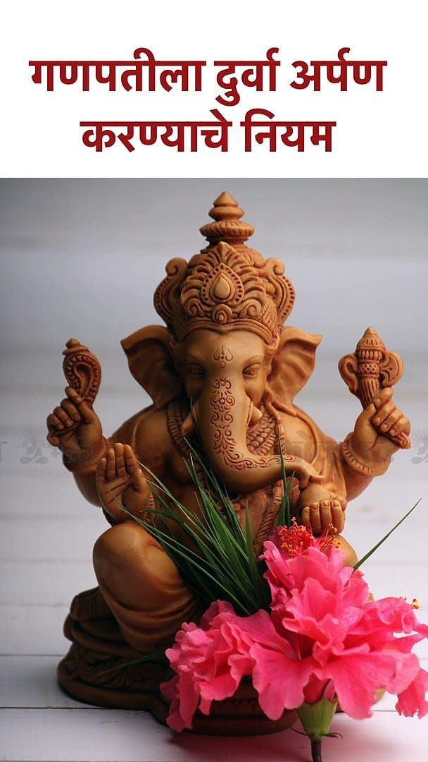 आमच्या गल्ली 42वर्षे पुर्ण