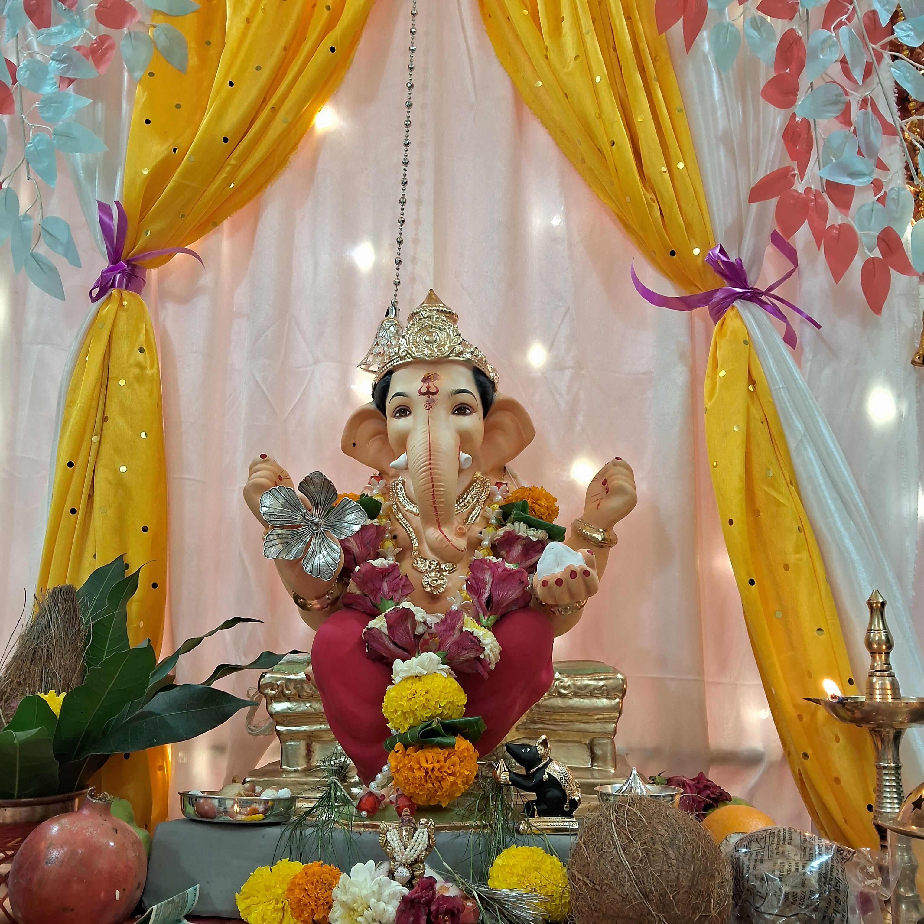 बाप्पाची कृपा