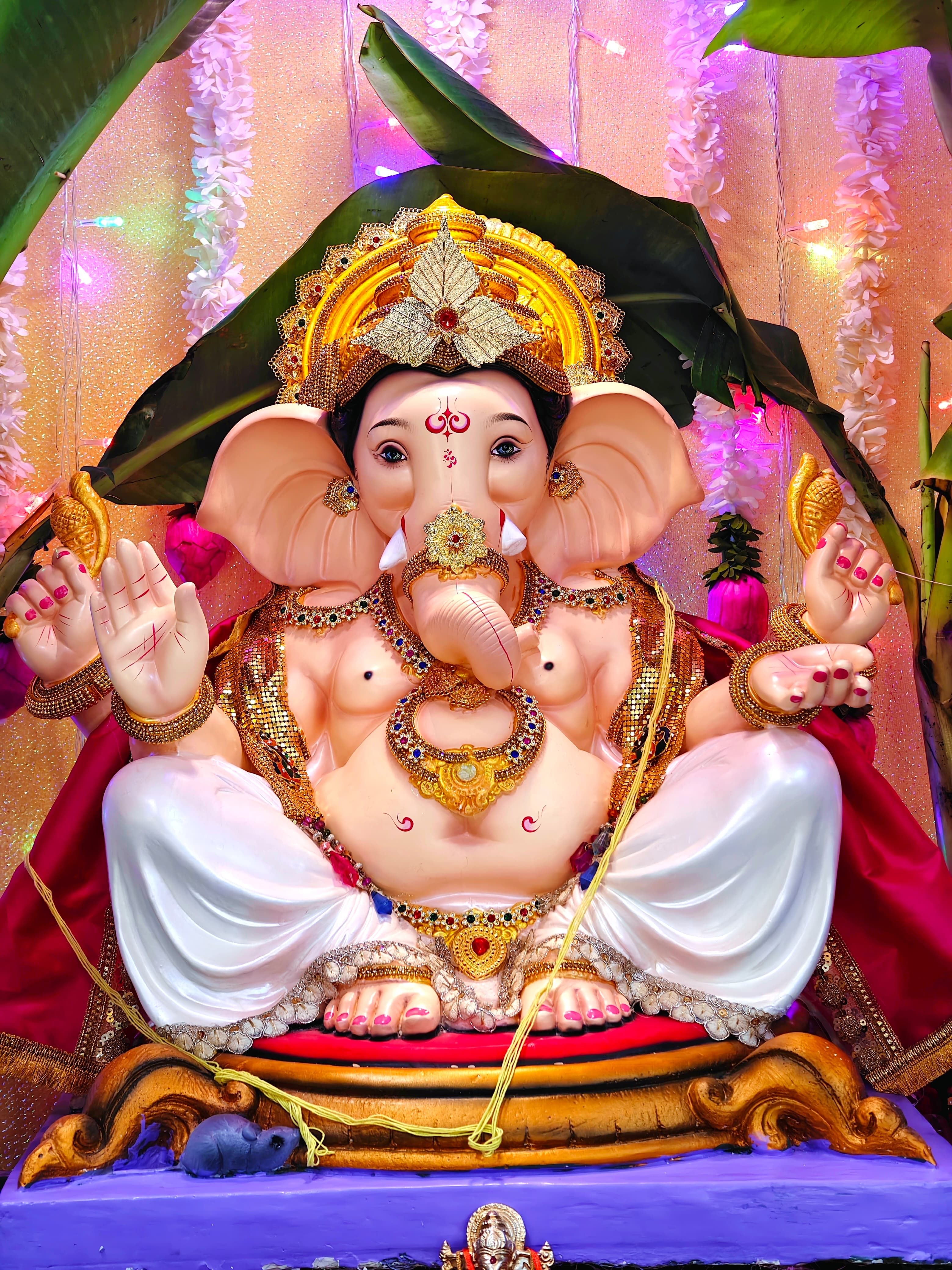 Ganpati Darshan