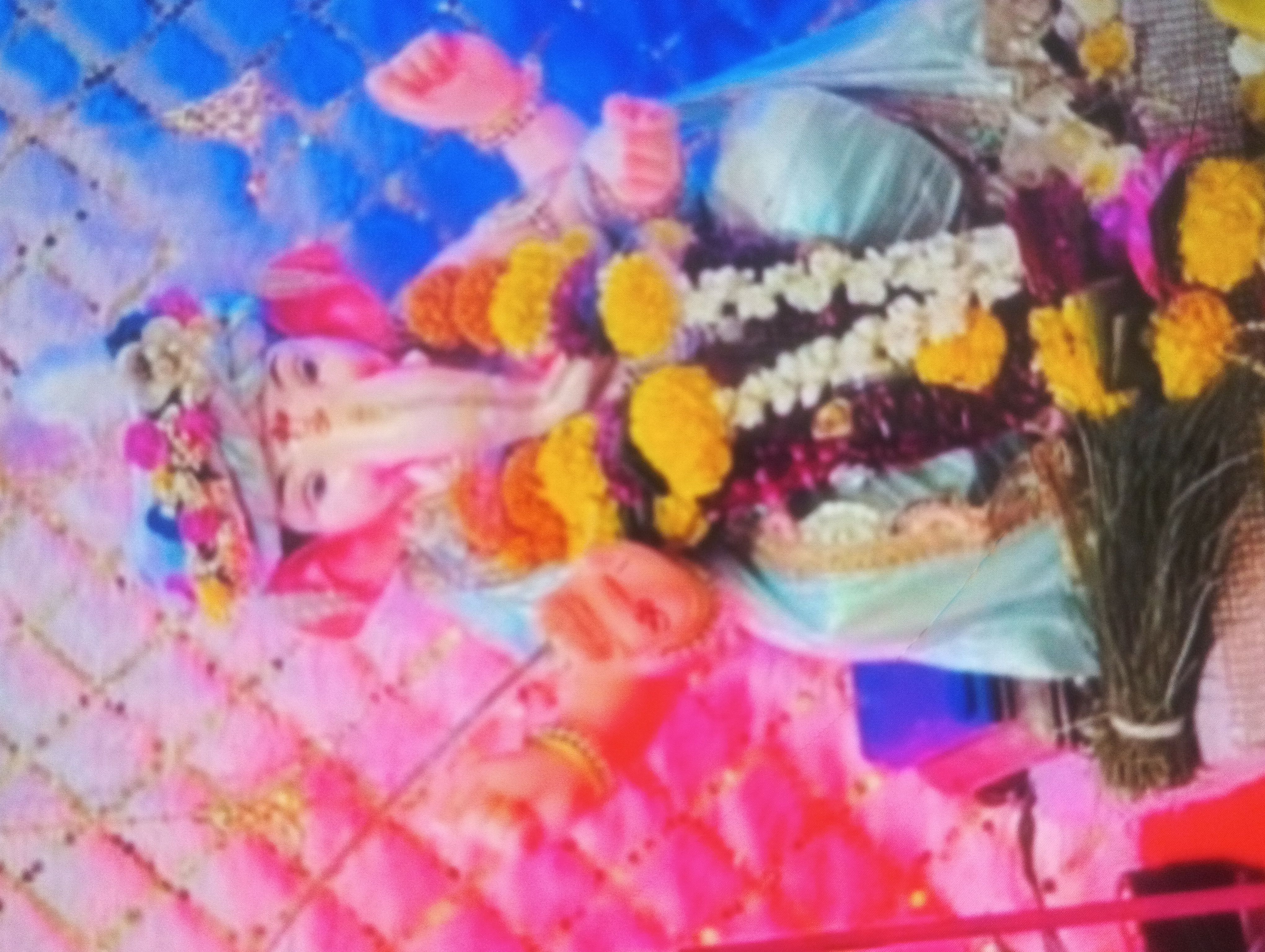 Bhim nagar maindargi
