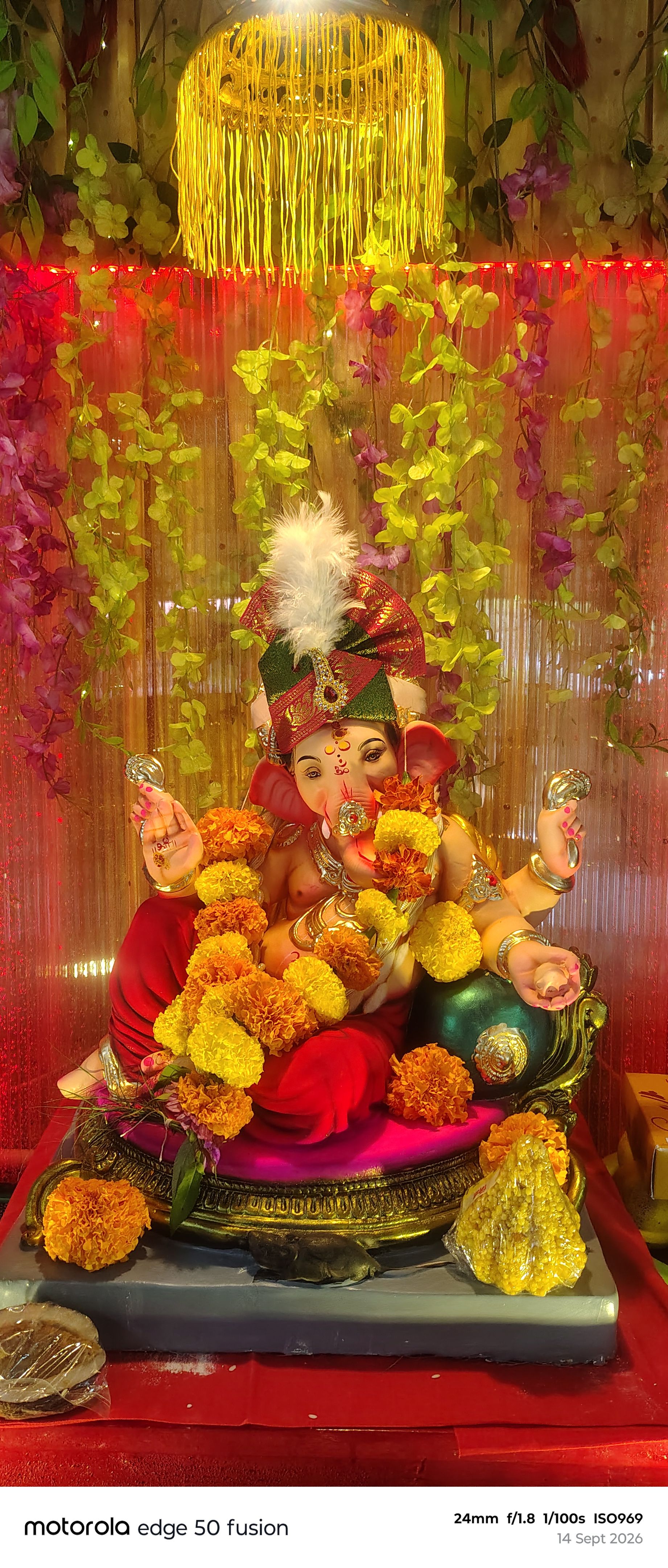 बाप्पाची कृपा 