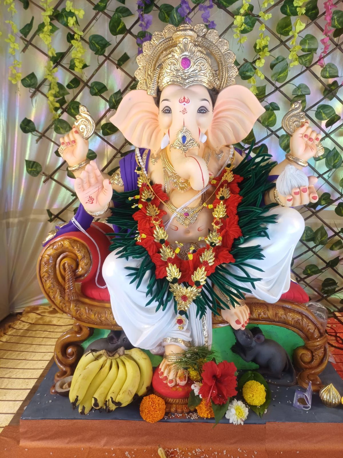 Rohan yadav dabhol dapoli