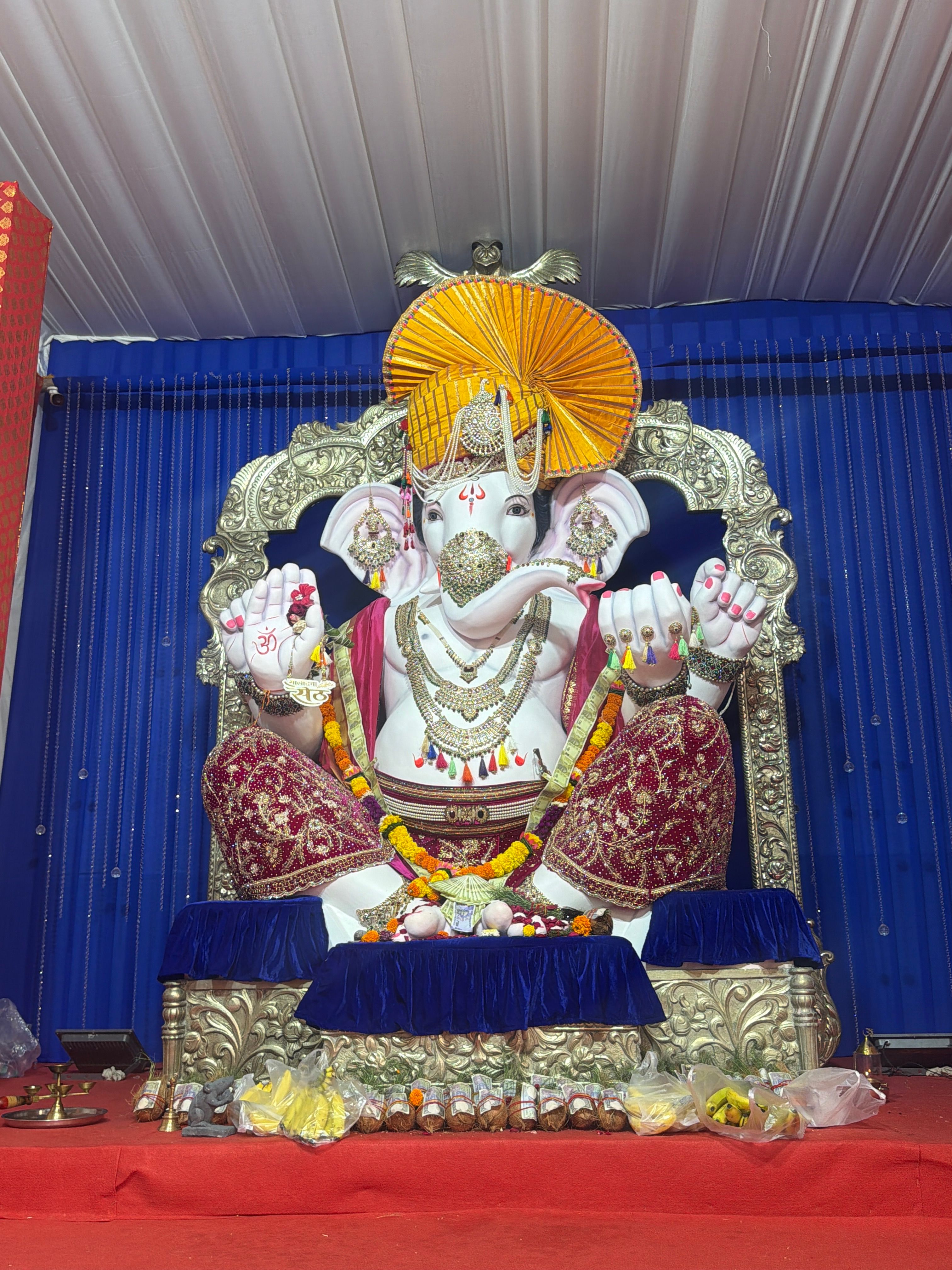 Maladcha seth