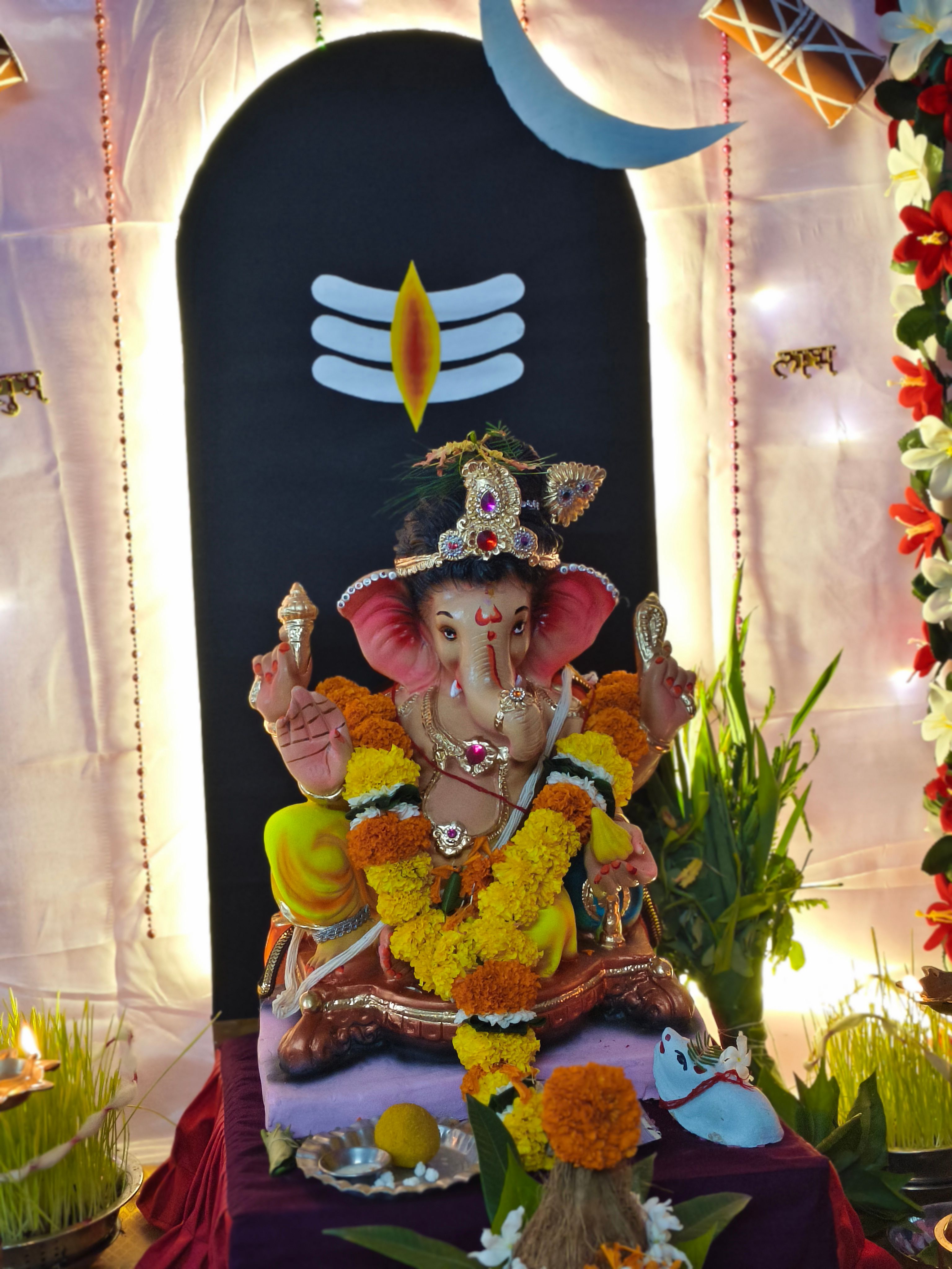 Our Ganpati Bappa in Chandrapur