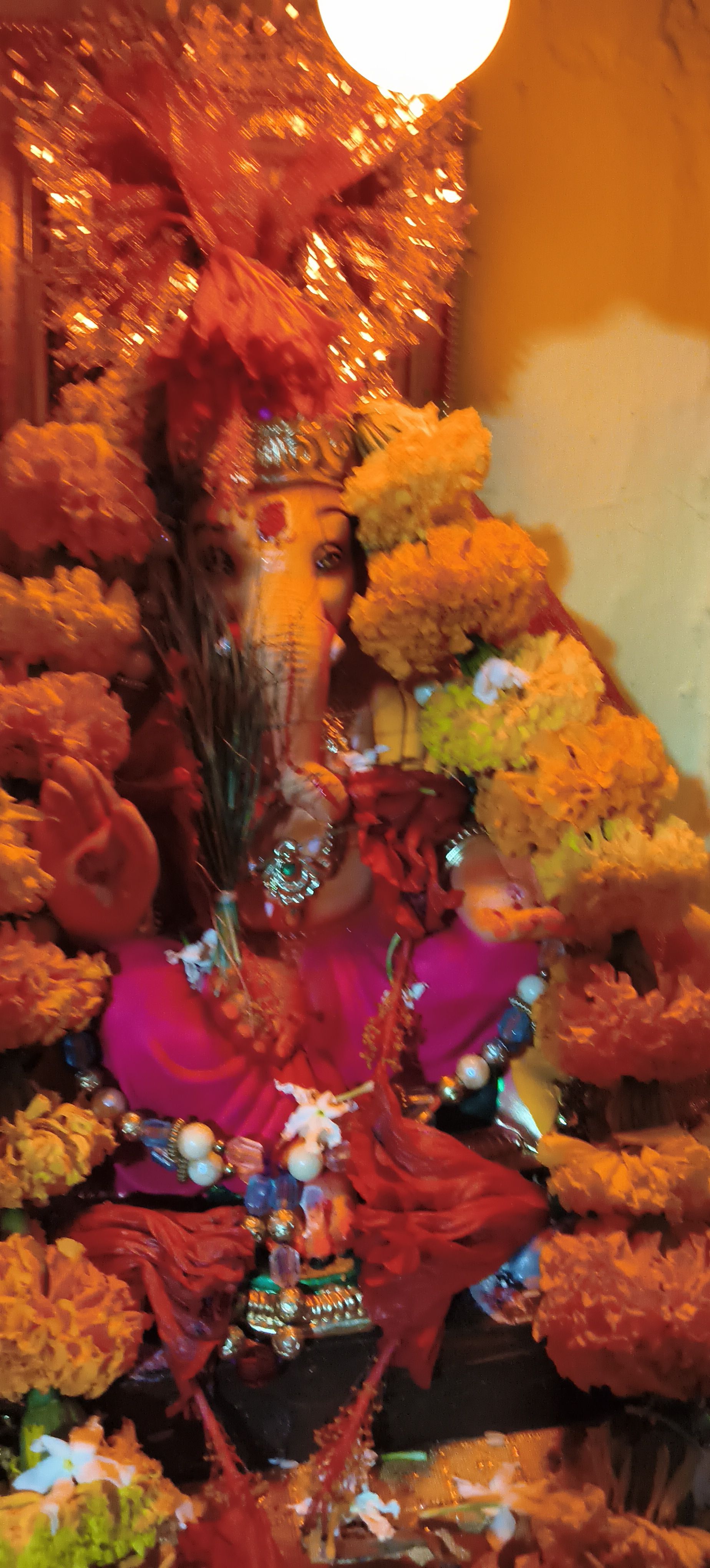 Bappa
