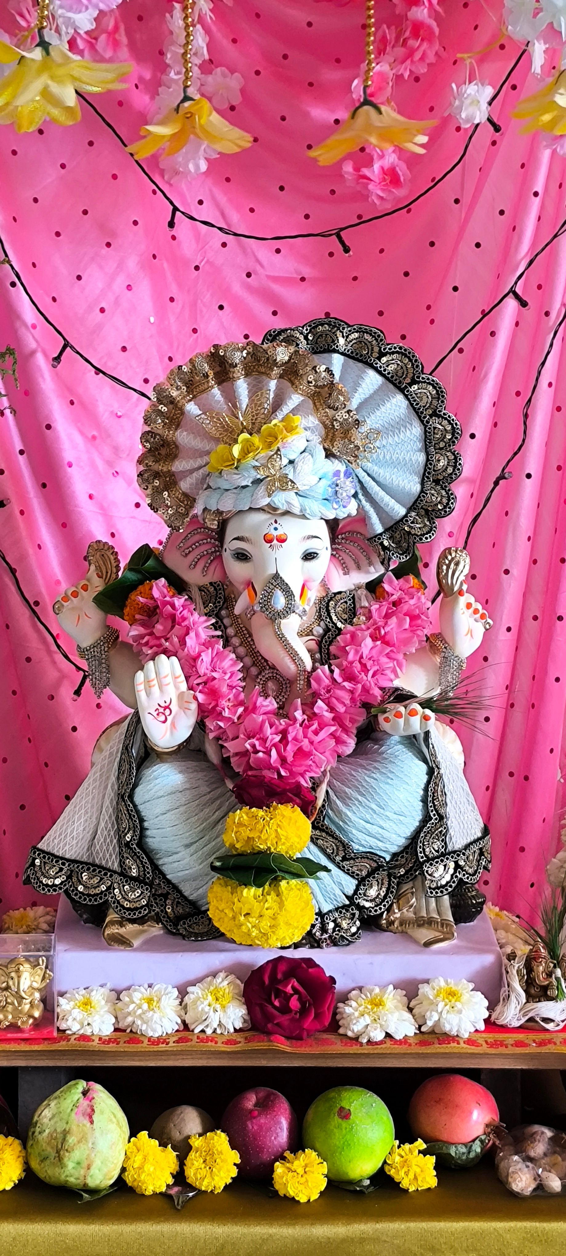 माझा बाप्पा 