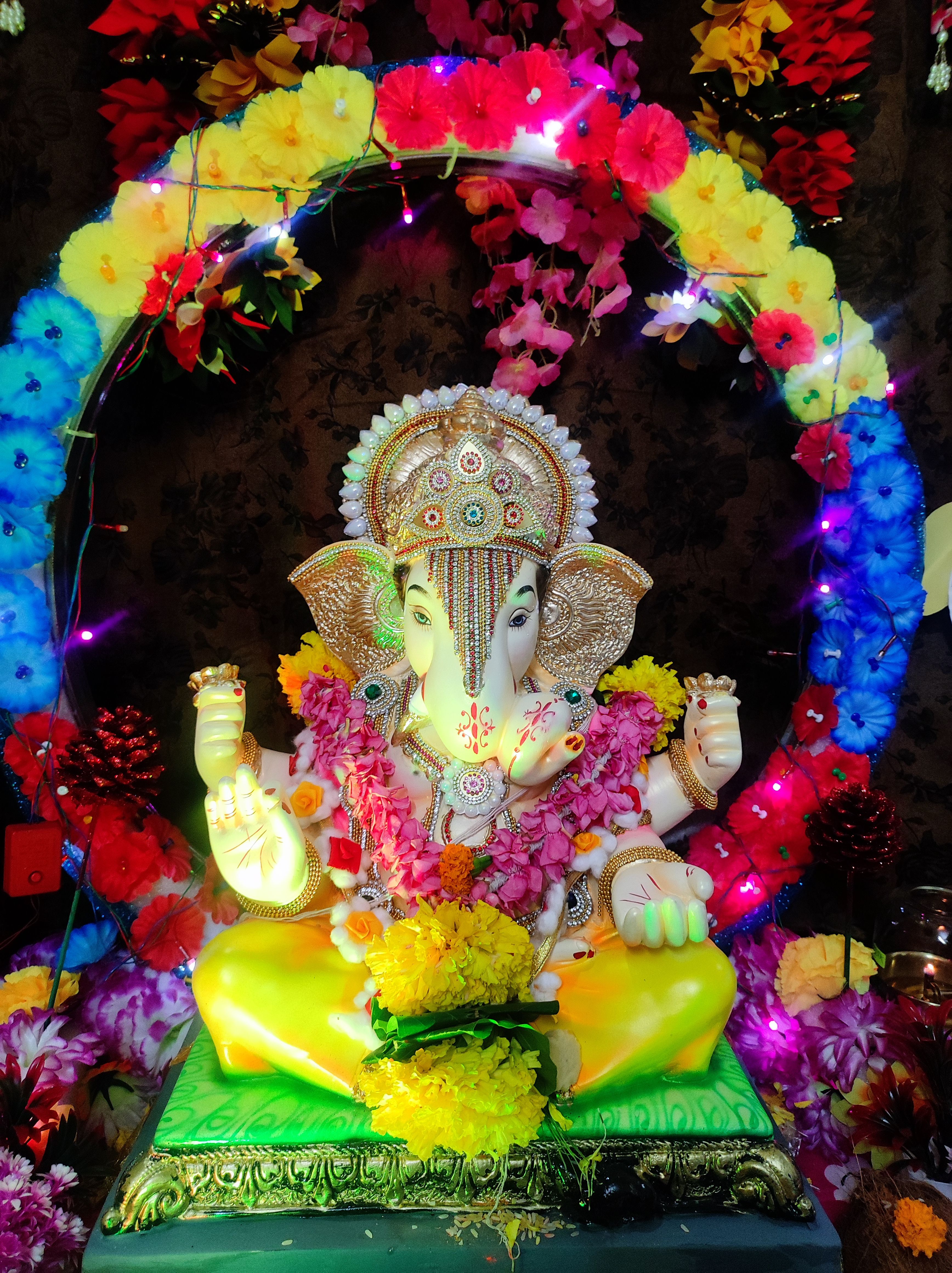 यादव यांच्या गोड बाप्पा