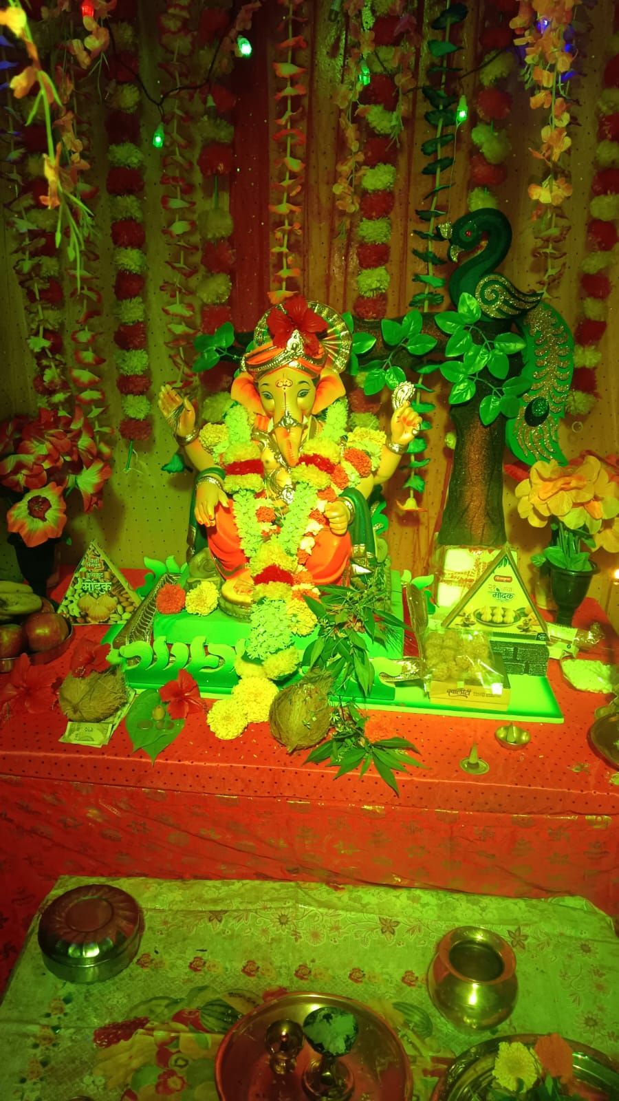 ecofriendly ganeshaa