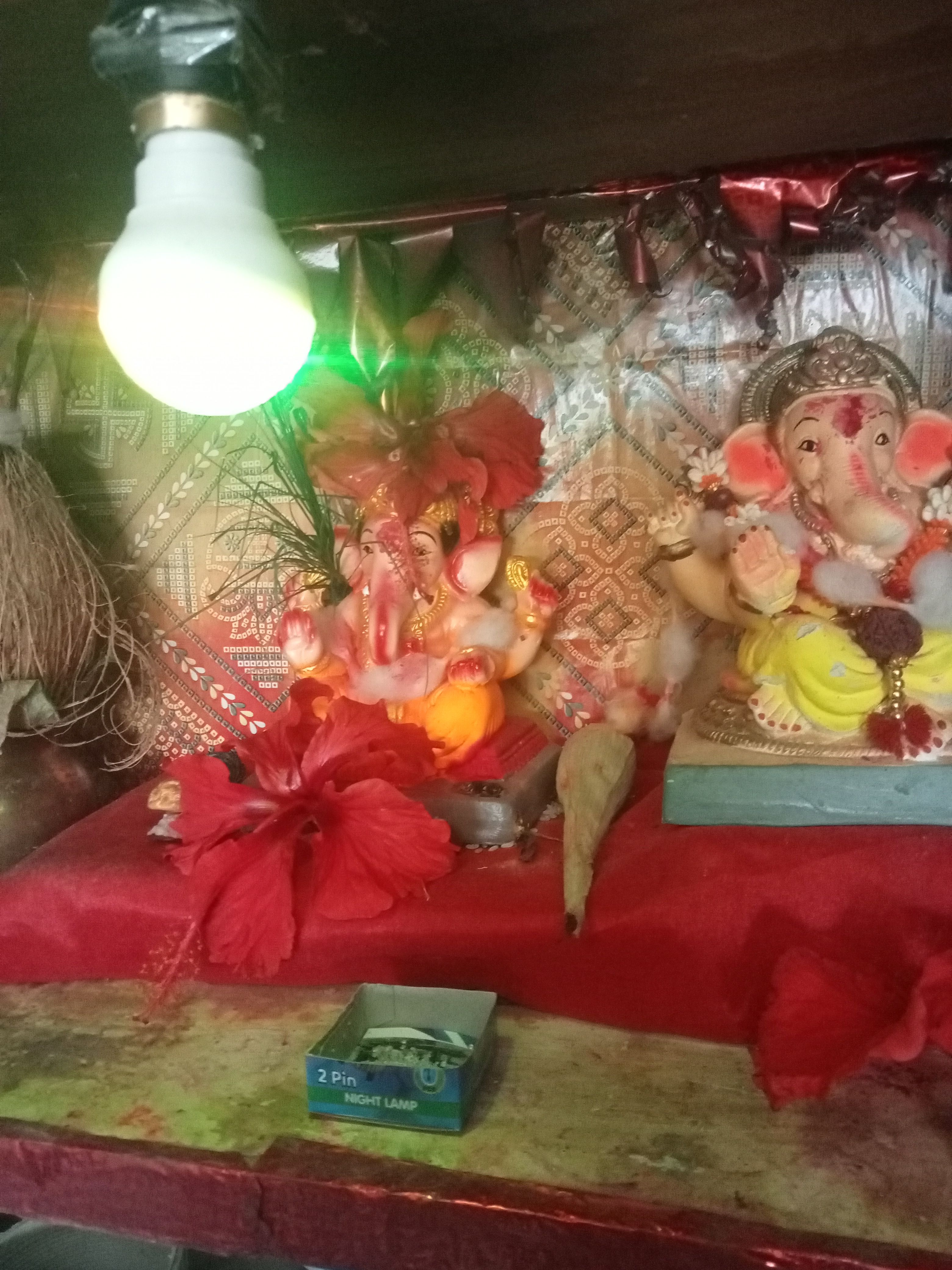 ,, गणपती बाप्पा मोरया