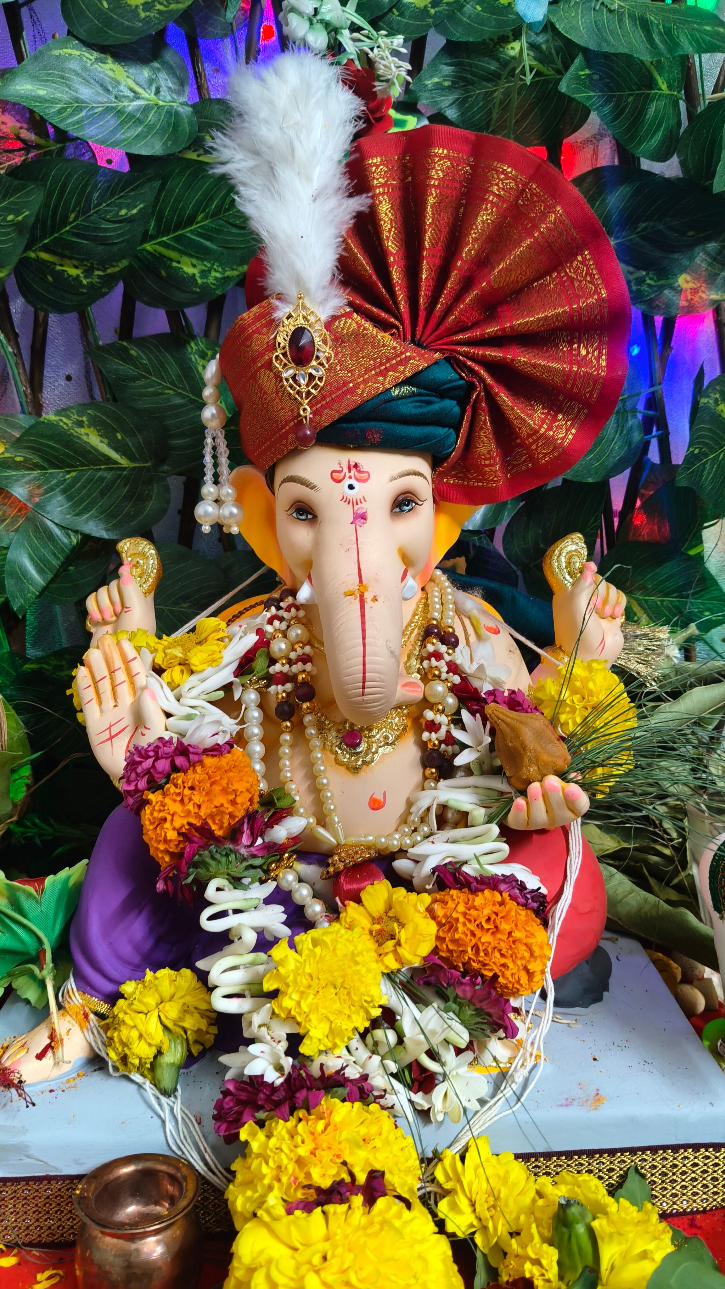बाप्पा, तू घरीच राहशील ना