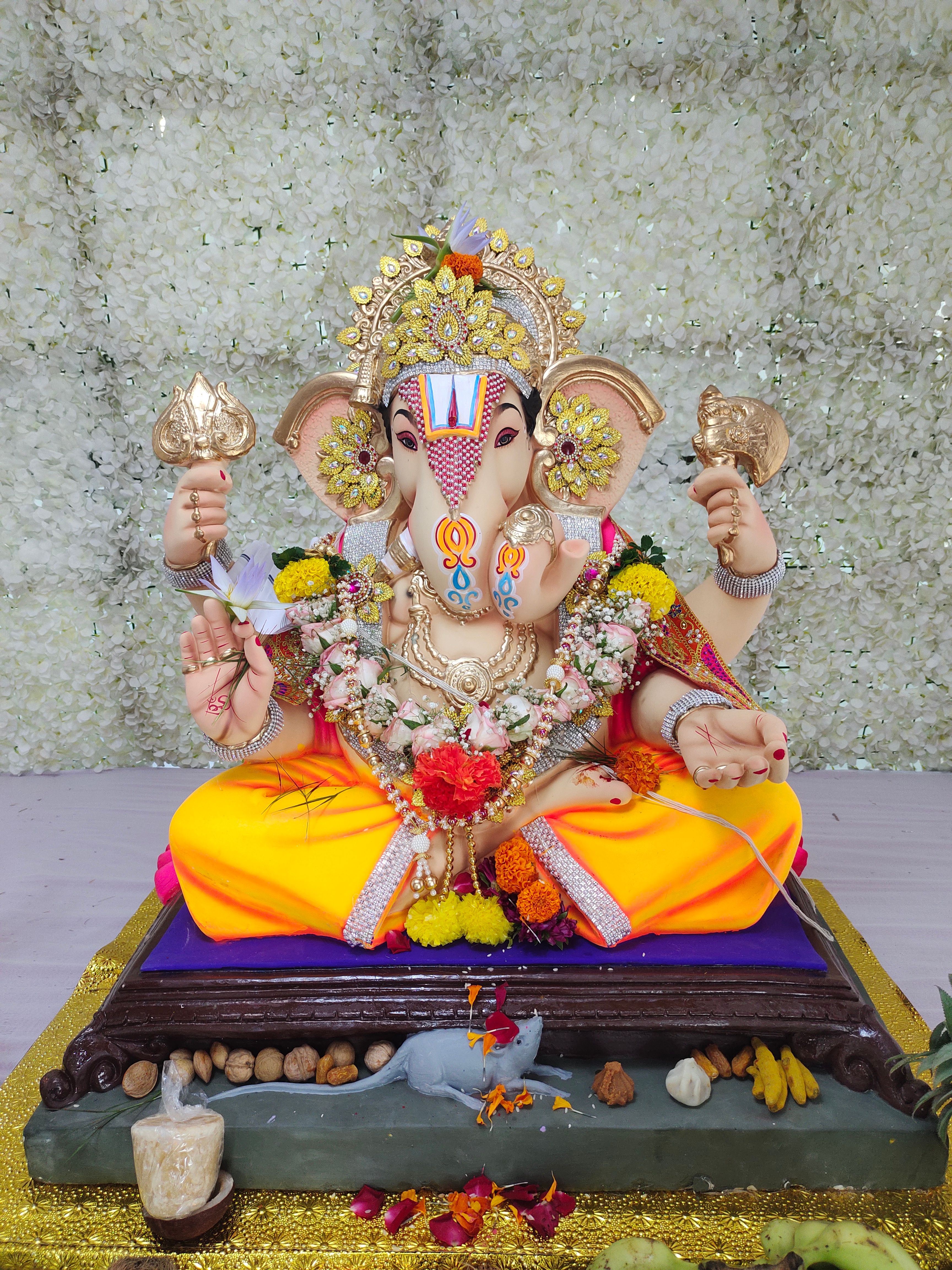 न्हावा शेवा पोलीस स्टेशनचा राजा