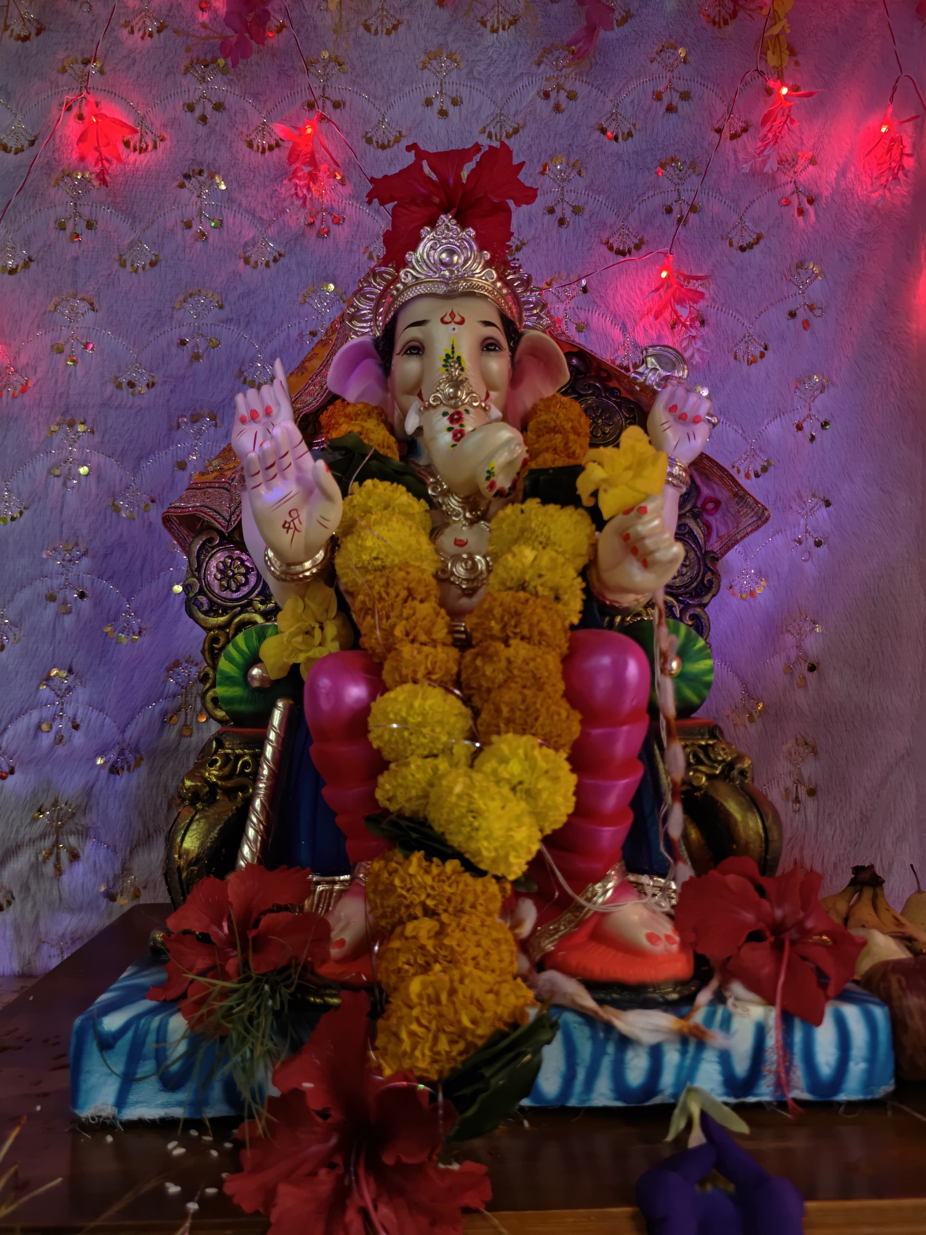 Bappa arrived at home 