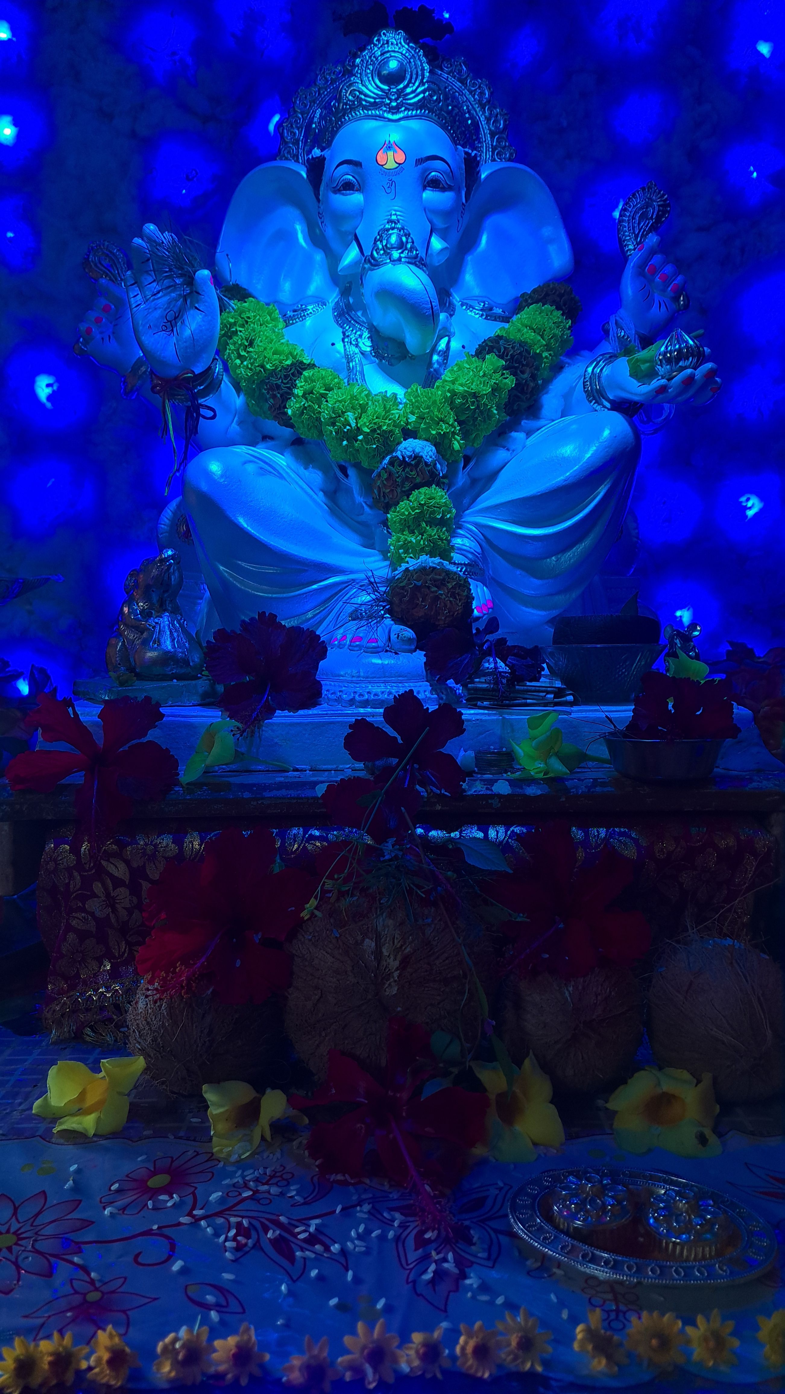 माझ्या घरी गणपती 