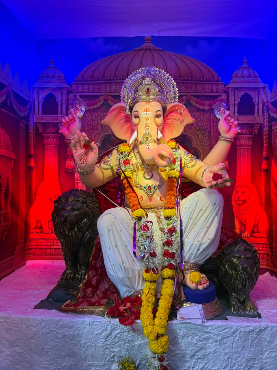 छायाचित्रे 