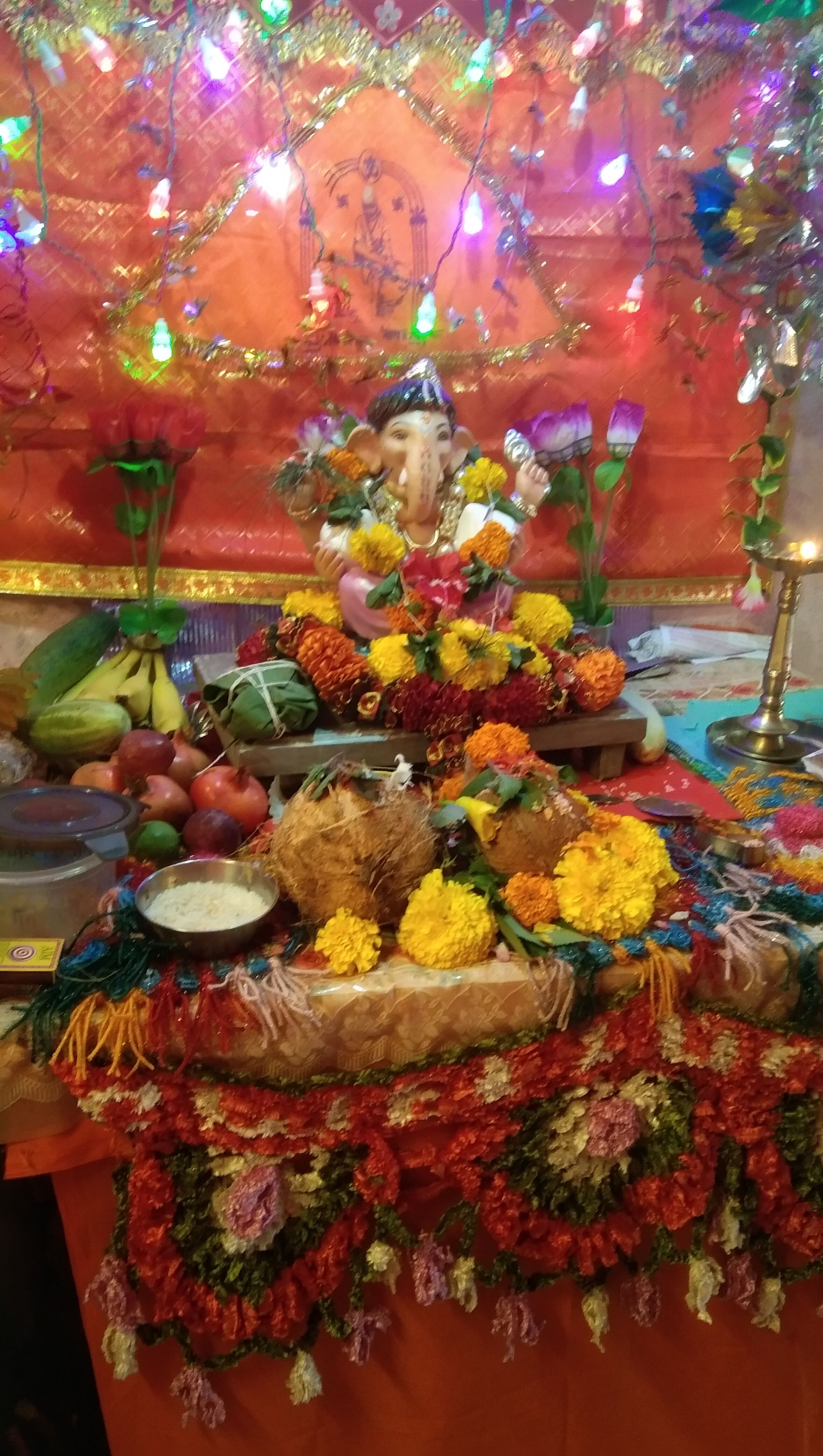 Joshi parivar raja