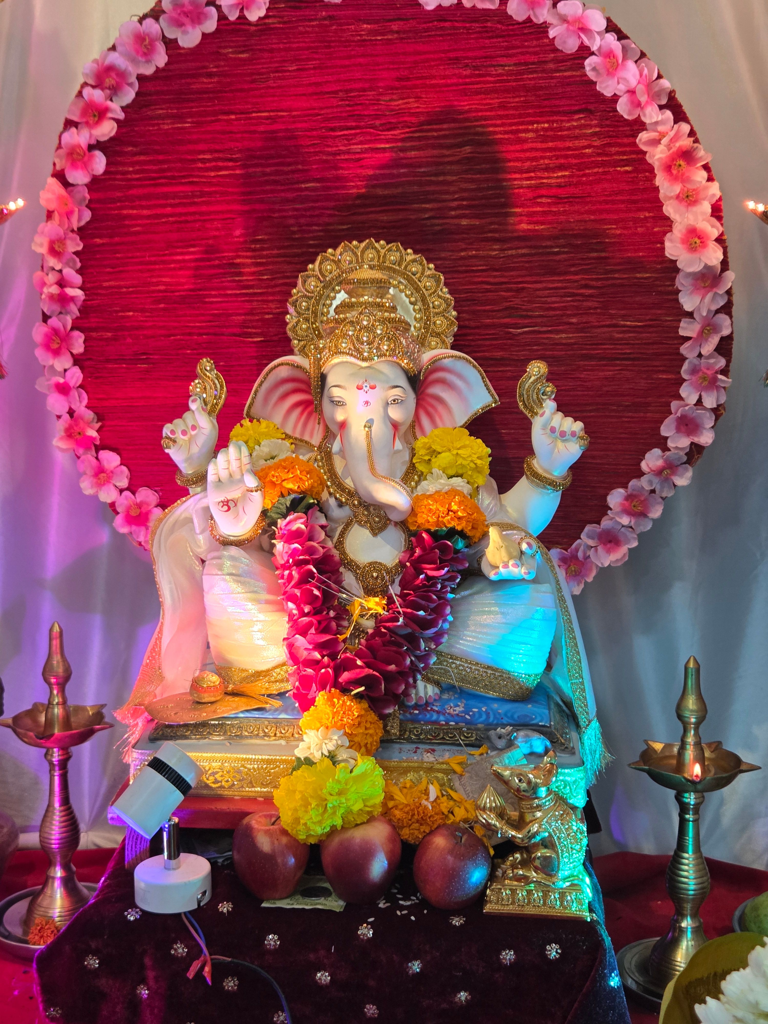 Mohite Familycha Raja 