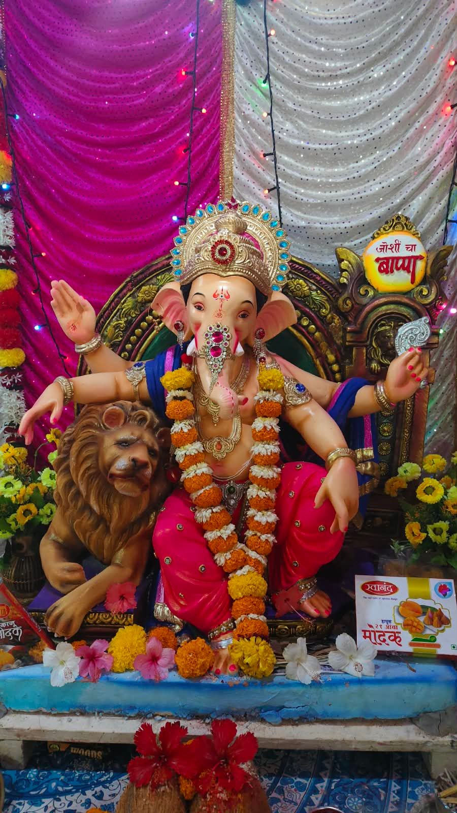 घडशी परिवाराचा राजा