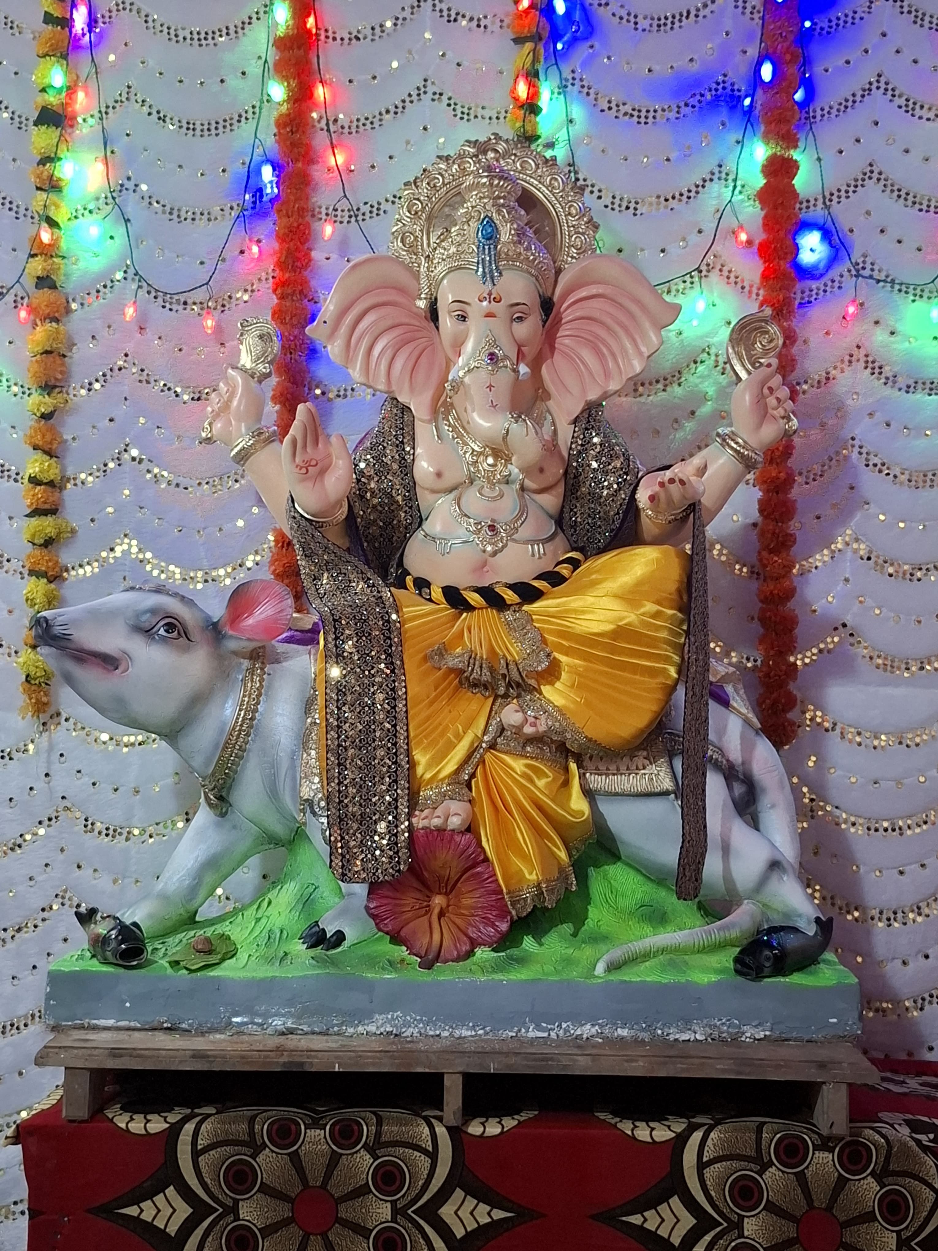 अमित आरेकर