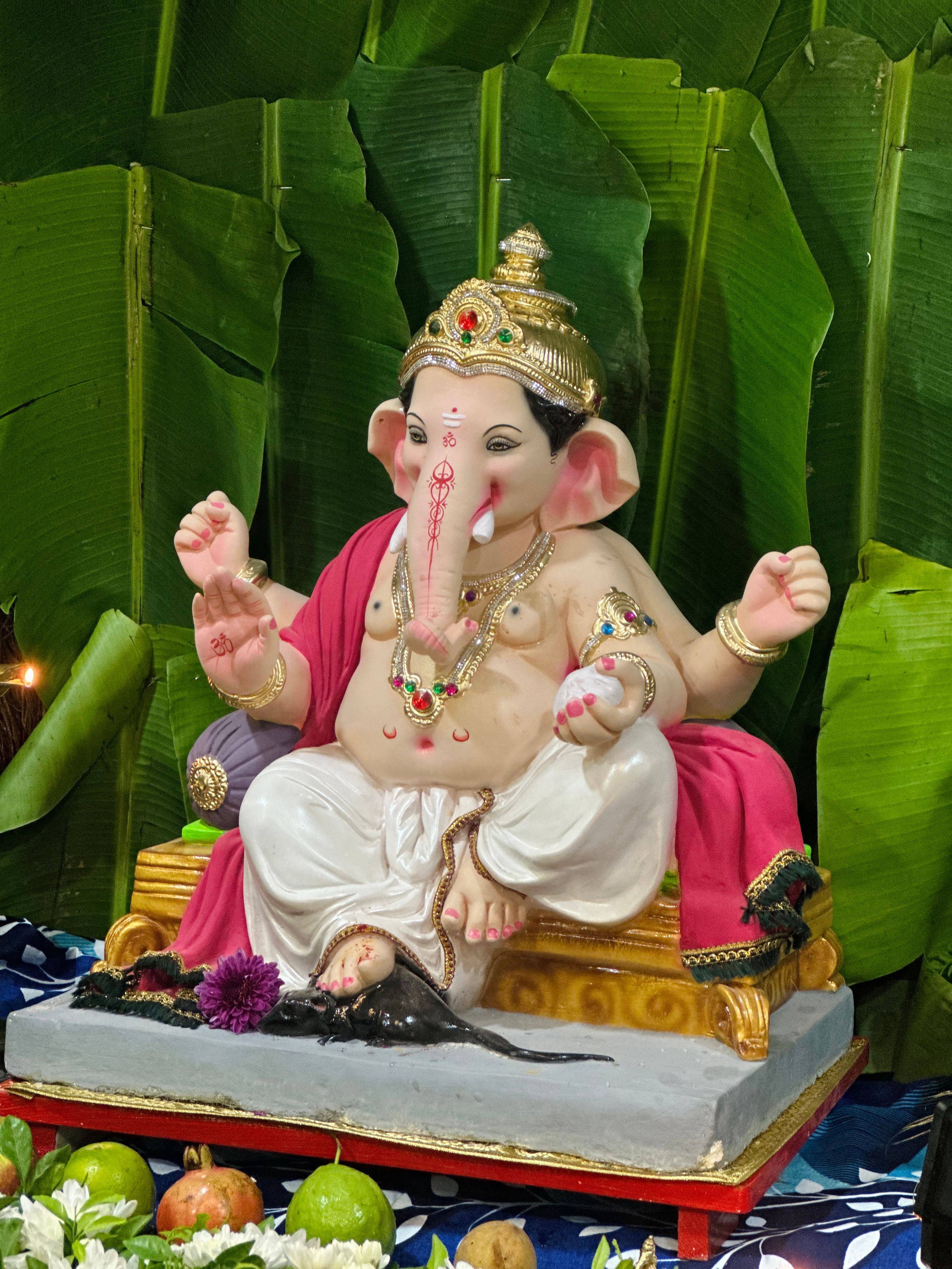 Our Bappa Our Family Tradition ❤️🙏