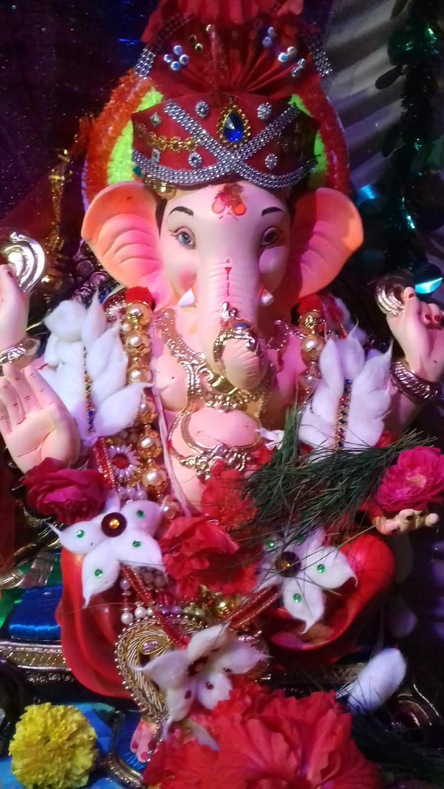 ecofriendly ganeshaa